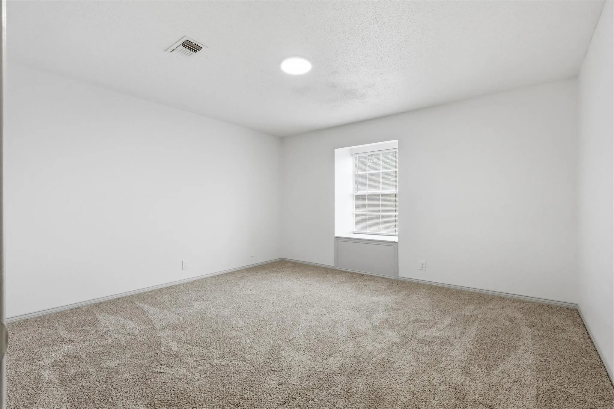 Spacious room featuring white walls, textured carpeting, a multi-pane window, and a ceiling light fixture