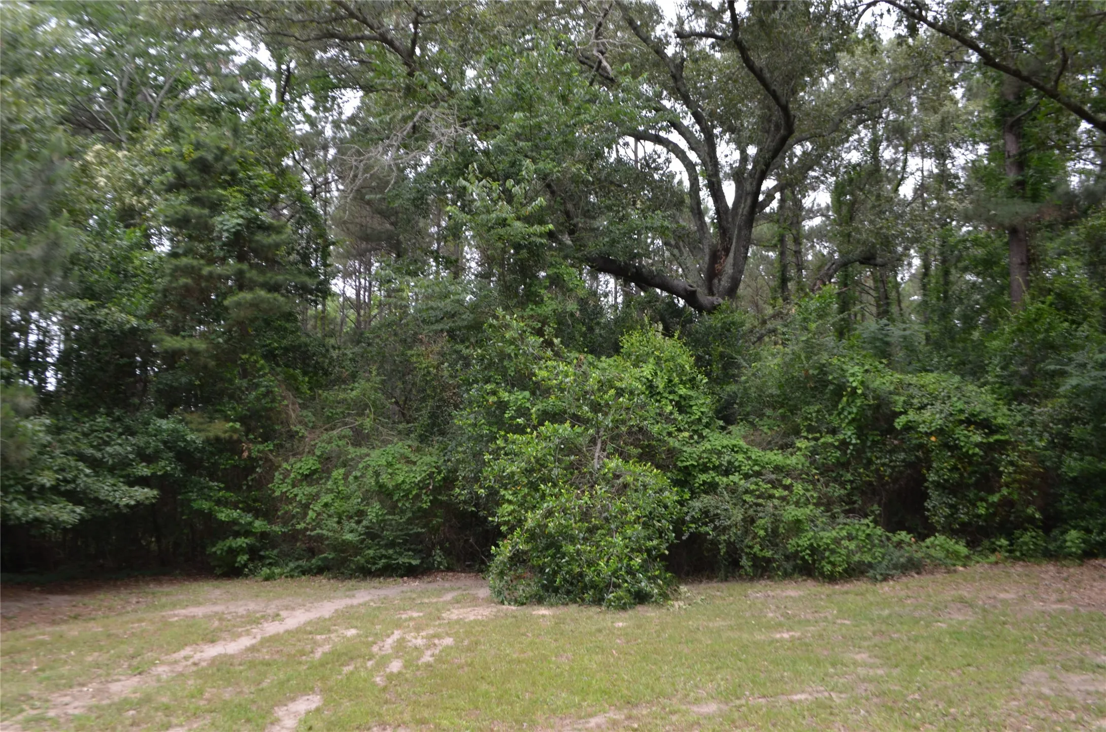 Single Family Residence For Sale in Smith County , 1508 Hwy 135, Overton, Texas 75684, 2 Bedroom, 2 Bathroom, Garage spaces, 1,632 Sqft, built in 1930, mls#21284529, Real Estate Agent in Overton, Homes For Sale in Smith county, Homes For Sale in Overton, Realtor in Overton Texas, Real Estate Brokerage Independent Realty Texas, Luminita Cordes Realtor