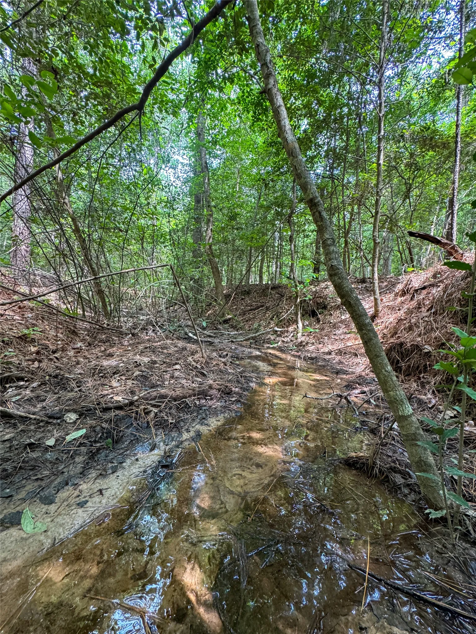 Single Family Residence For Sale in Cass County , 305 County Road 1145, Atlanta, Texas 75551, 2 Bedroom, 2 Bathroom, 3 Garage spaces, 2,067 Sqft, built in 2021, mls#21292959, Real Estate Agent in Atlanta, Homes For Sale in Cass county, Homes For Sale in Atlanta, Realtor in Atlanta Texas, Real Estate Brokerage Independent Realty Texas, Luminita Cordes Realtor