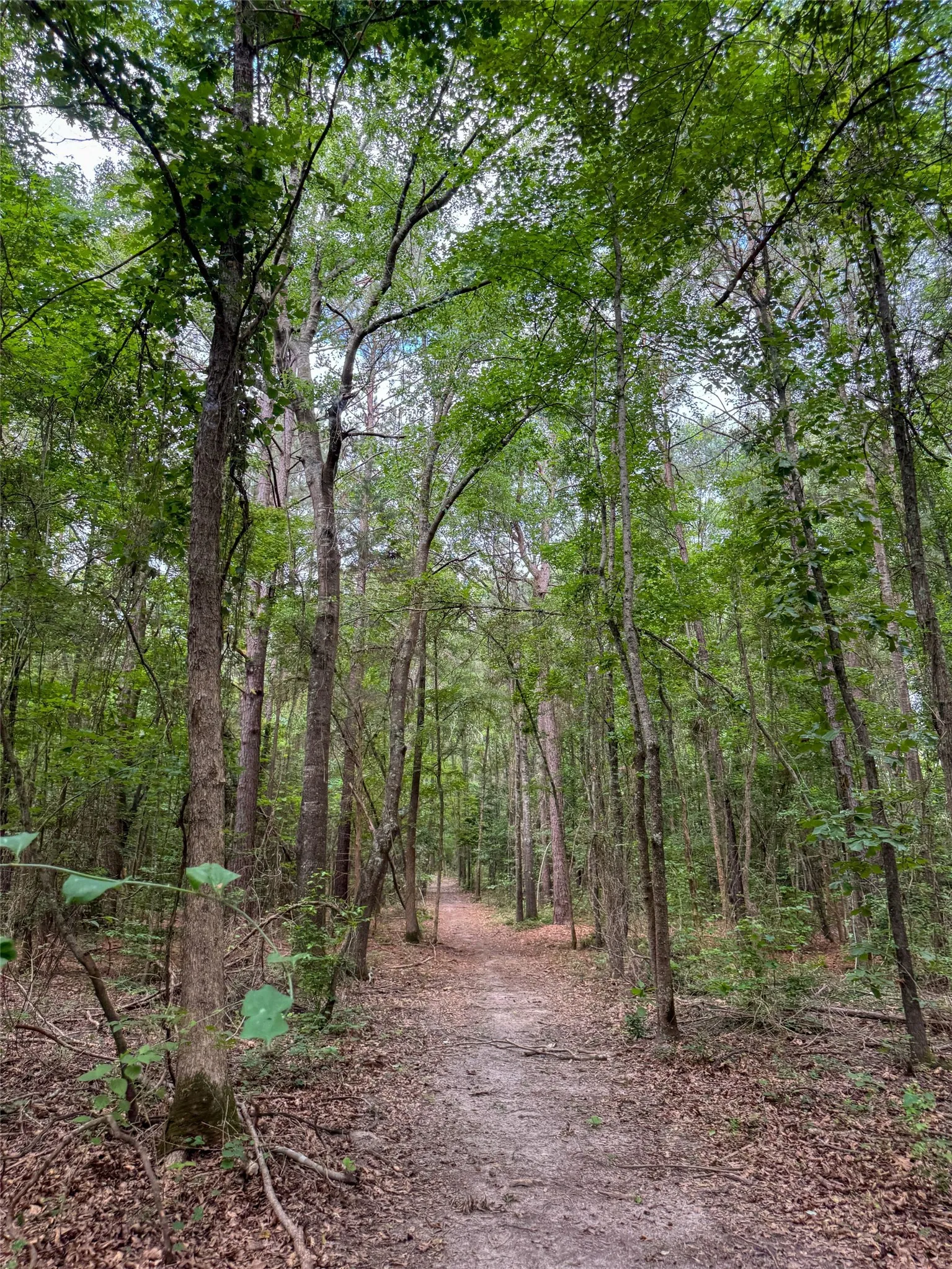 Single Family Residence For Sale in Cass County , 305 County Road 1145, Atlanta, Texas 75551, 2 Bedroom, 2 Bathroom, 3 Garage spaces, 2,067 Sqft, built in 2021, mls#21292959, Real Estate Agent in Atlanta, Homes For Sale in Cass county, Homes For Sale in Atlanta, Realtor in Atlanta Texas, Real Estate Brokerage Independent Realty Texas, Luminita Cordes Realtor