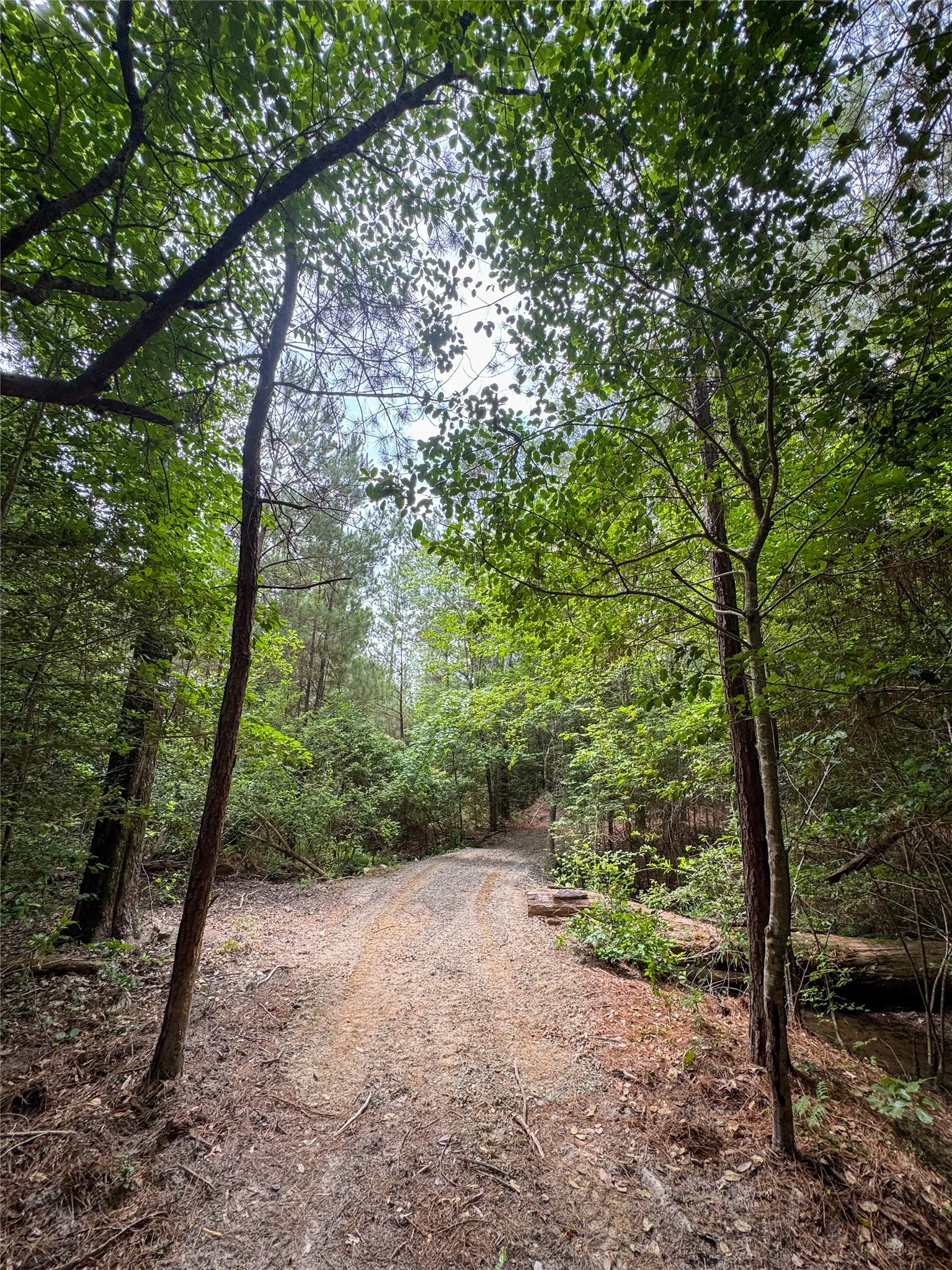 Single Family Residence For Sale in Cass County , 305 County Road 1145, Atlanta, Texas 75551, 2 Bedroom, 2 Bathroom, 3 Garage spaces, 2,067 Sqft, built in 2021, mls#21292959, Real Estate Agent in Atlanta, Homes For Sale in Cass county, Homes For Sale in Atlanta, Realtor in Atlanta Texas, Real Estate Brokerage Independent Realty Texas, Luminita Cordes Realtor