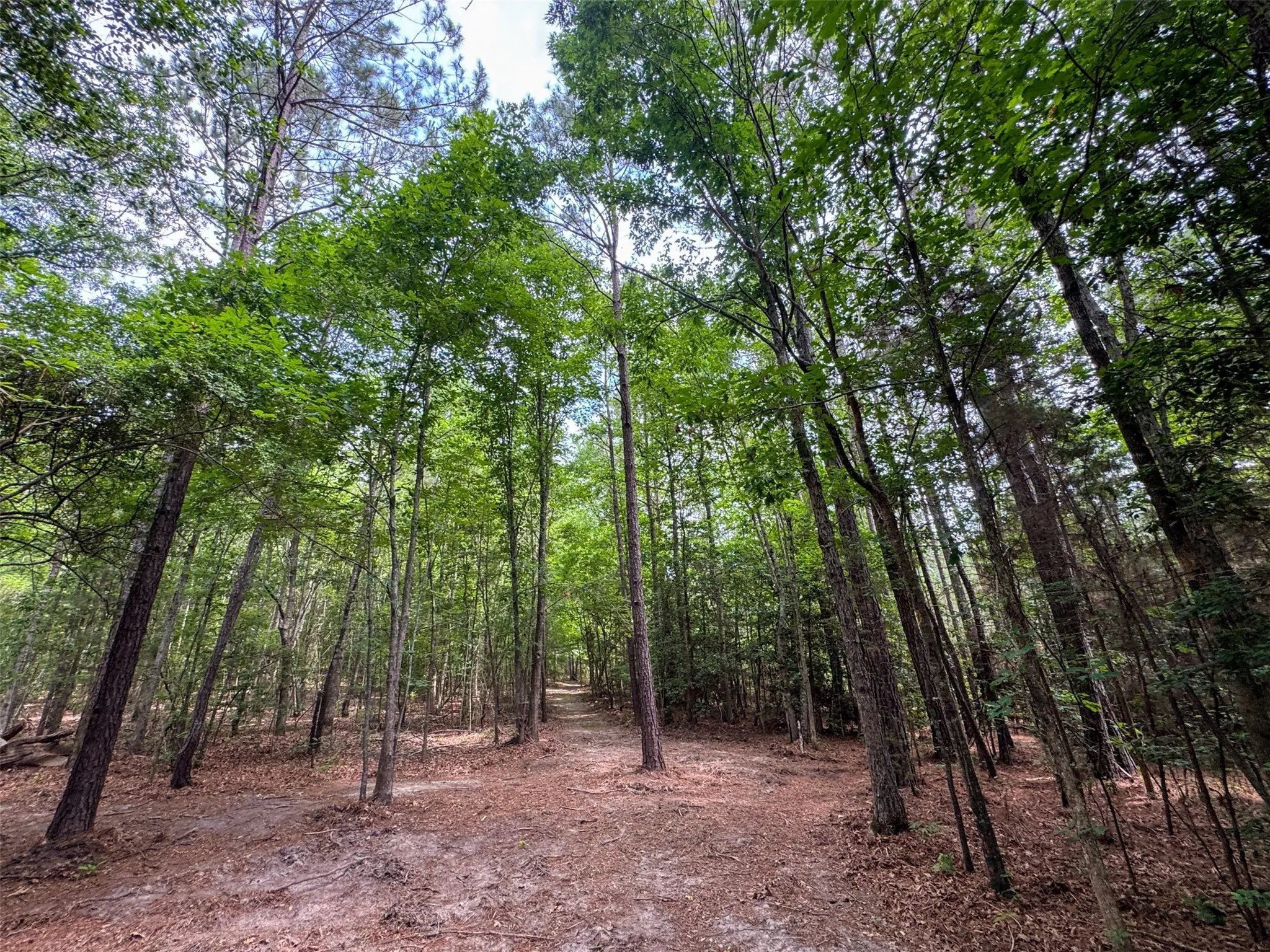 Single Family Residence For Sale in Cass County , 305 County Road 1145, Atlanta, Texas 75551, 2 Bedroom, 2 Bathroom, 3 Garage spaces, 2,067 Sqft, built in 2021, mls#21292959, Real Estate Agent in Atlanta, Homes For Sale in Cass county, Homes For Sale in Atlanta, Realtor in Atlanta Texas, Real Estate Brokerage Independent Realty Texas, Luminita Cordes Realtor