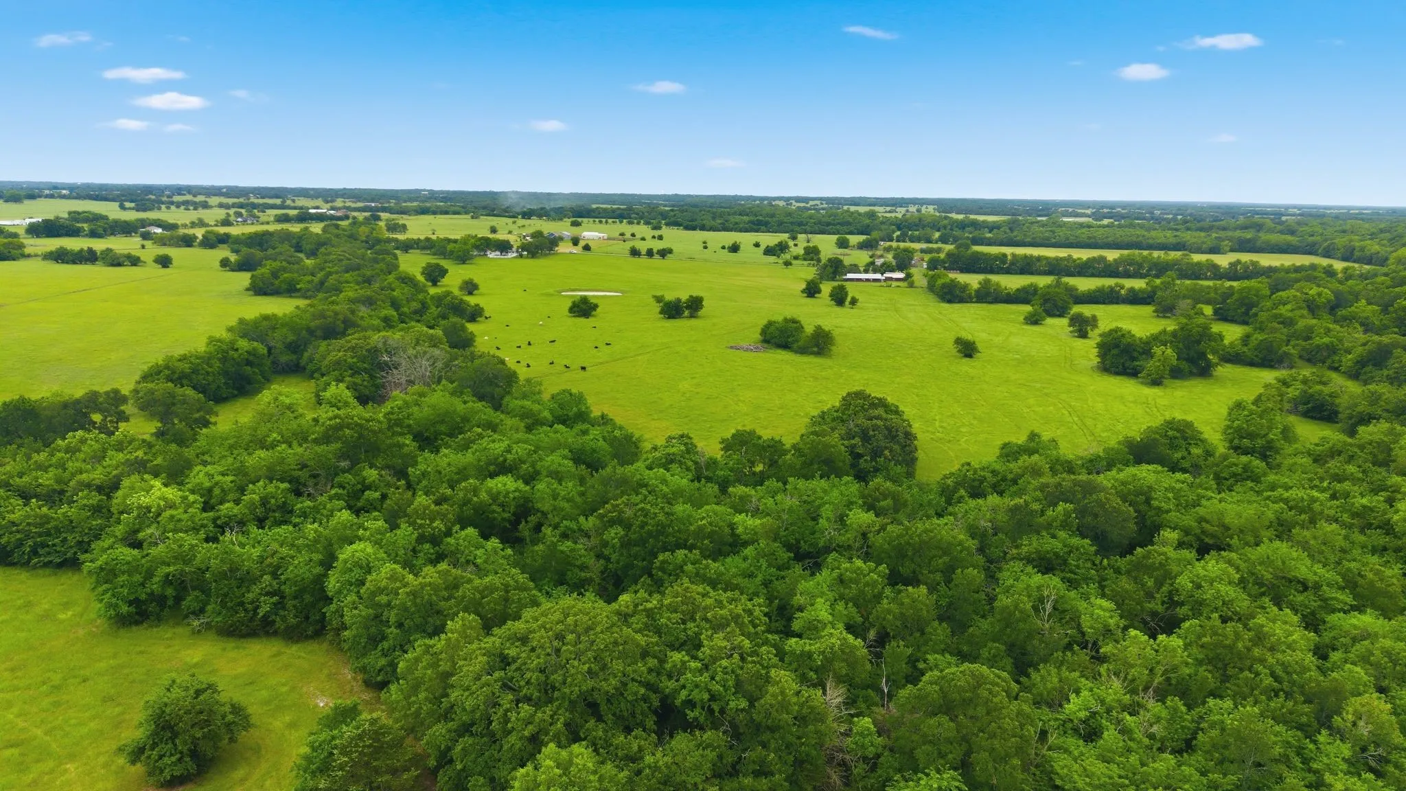 Farm For Sale in Hunt County , 7635 County Road 4209, Campbell, Texas 75422, 3 Bedroom, 3 Bathroom, 2 Garage spaces, 2,225 Sqft, built in 1939, Price $1,800,000, mls#21293064, Real Estate Agent in Campbell, Homes For Sale in Hunt county, Homes For Sale in Campbell, Realtor in Campbell Texas, Real Estate Brokerage Independent Realty Texas, Luminita Cordes Realtor