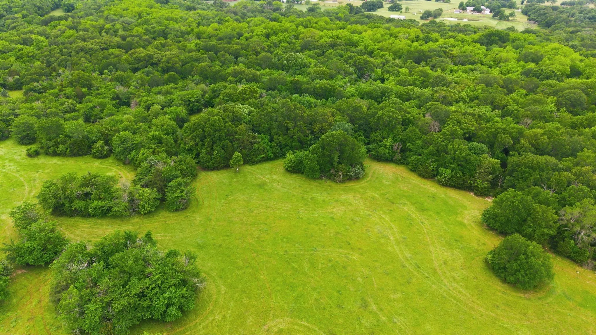 Farm For Sale in Hunt County , 7635 County Road 4209, Campbell, Texas 75422, 3 Bedroom, 3 Bathroom, 2 Garage spaces, 2,225 Sqft, built in 1939, Price $1,800,000, mls#21293064, Real Estate Agent in Campbell, Homes For Sale in Hunt county, Homes For Sale in Campbell, Realtor in Campbell Texas, Real Estate Brokerage Independent Realty Texas, Luminita Cordes Realtor