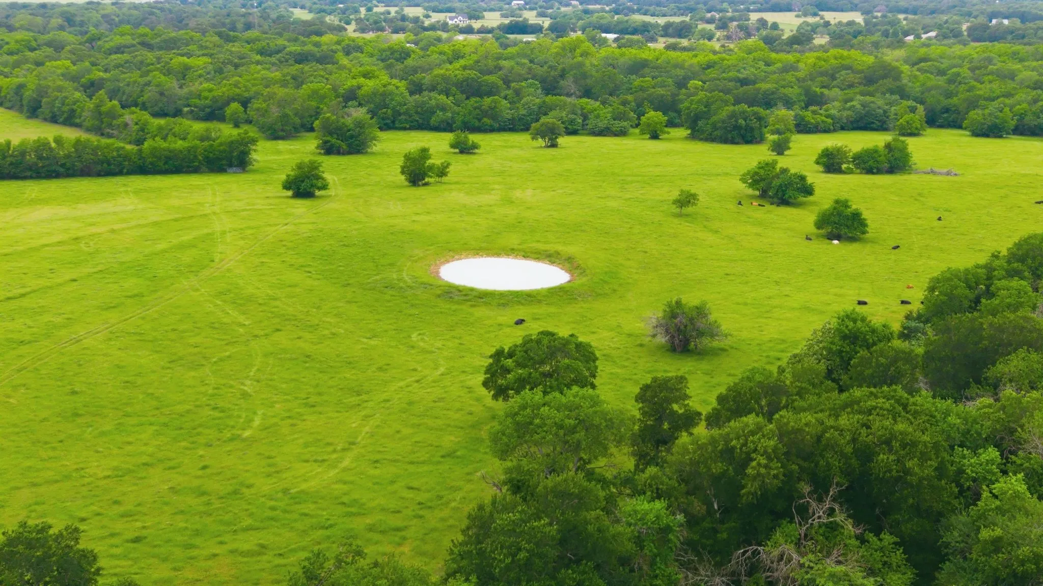 Farm For Sale in Hunt County , 7635 County Road 4209, Campbell, Texas 75422, 3 Bedroom, 3 Bathroom, 2 Garage spaces, 2,225 Sqft, built in 1939, Price $1,800,000, mls#21293064, Real Estate Agent in Campbell, Homes For Sale in Hunt county, Homes For Sale in Campbell, Realtor in Campbell Texas, Real Estate Brokerage Independent Realty Texas, Luminita Cordes Realtor