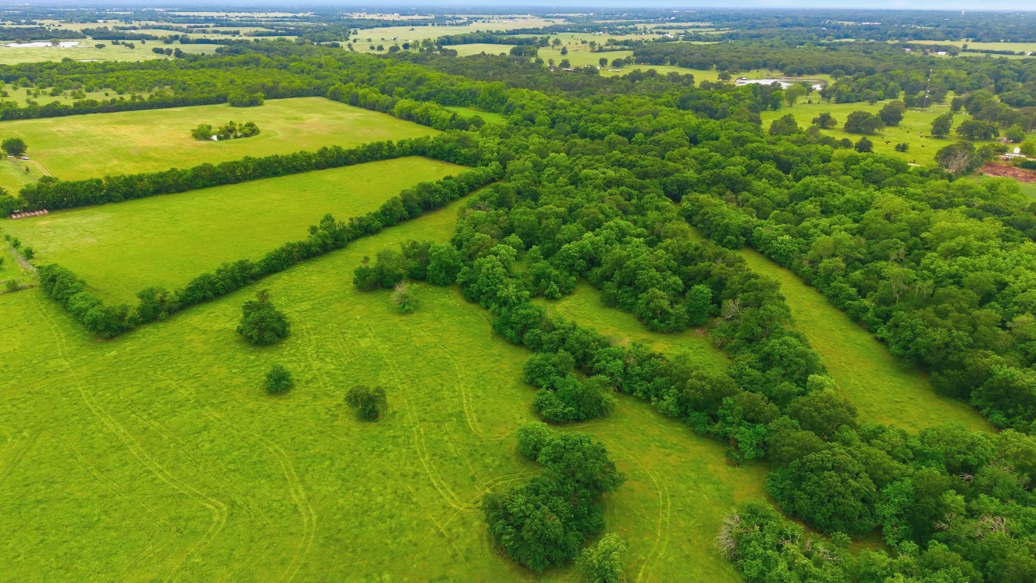 Farm For Sale in Hunt County , 7635 County Road 4209, Campbell, Texas 75422, 3 Bedroom, 3 Bathroom, 2 Garage spaces, 2,225 Sqft, built in 1939, Price $1,800,000, mls#21293064, Real Estate Agent in Campbell, Homes For Sale in Hunt county, Homes For Sale in Campbell, Realtor in Campbell Texas, Real Estate Brokerage Independent Realty Texas, Luminita Cordes Realtor