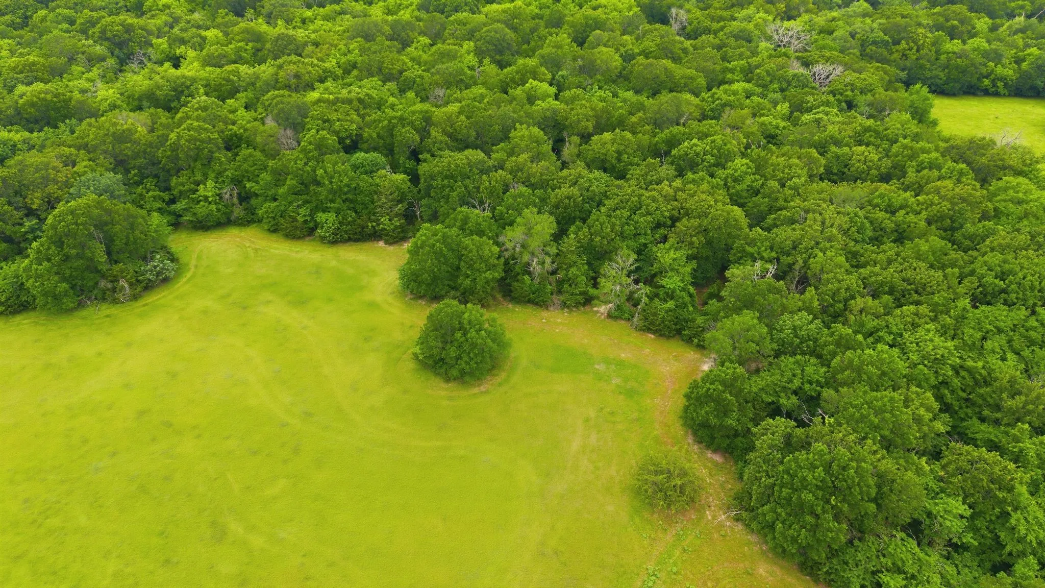 Farm For Sale in Hunt County , 7635 County Road 4209, Campbell, Texas 75422, 3 Bedroom, 3 Bathroom, 2 Garage spaces, 2,225 Sqft, built in 1939, Price $1,800,000, mls#21293064, Real Estate Agent in Campbell, Homes For Sale in Hunt county, Homes For Sale in Campbell, Realtor in Campbell Texas, Real Estate Brokerage Independent Realty Texas, Luminita Cordes Realtor