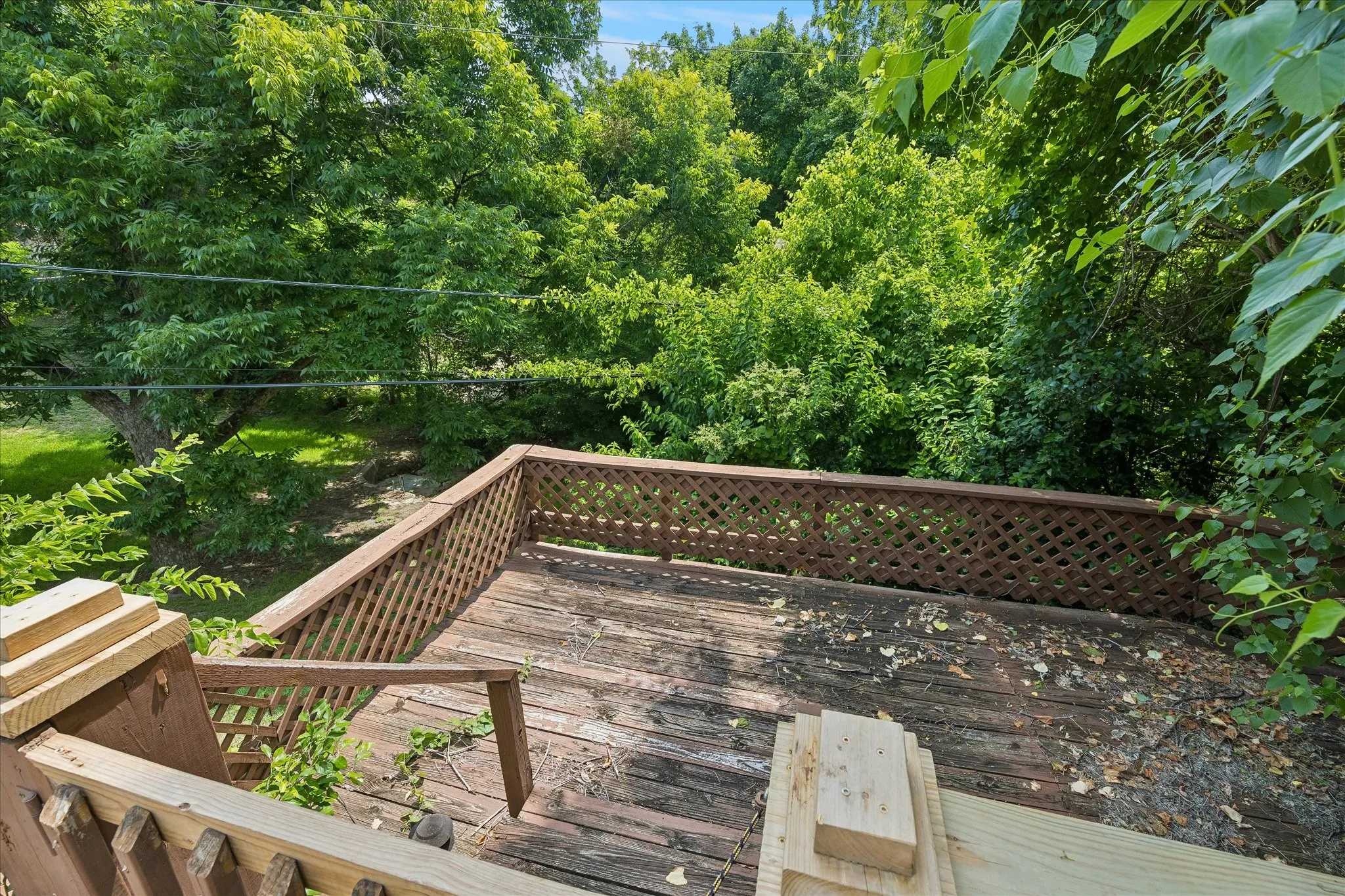 Outdoor wood deck featuring lattice railing and surrounding mature trees