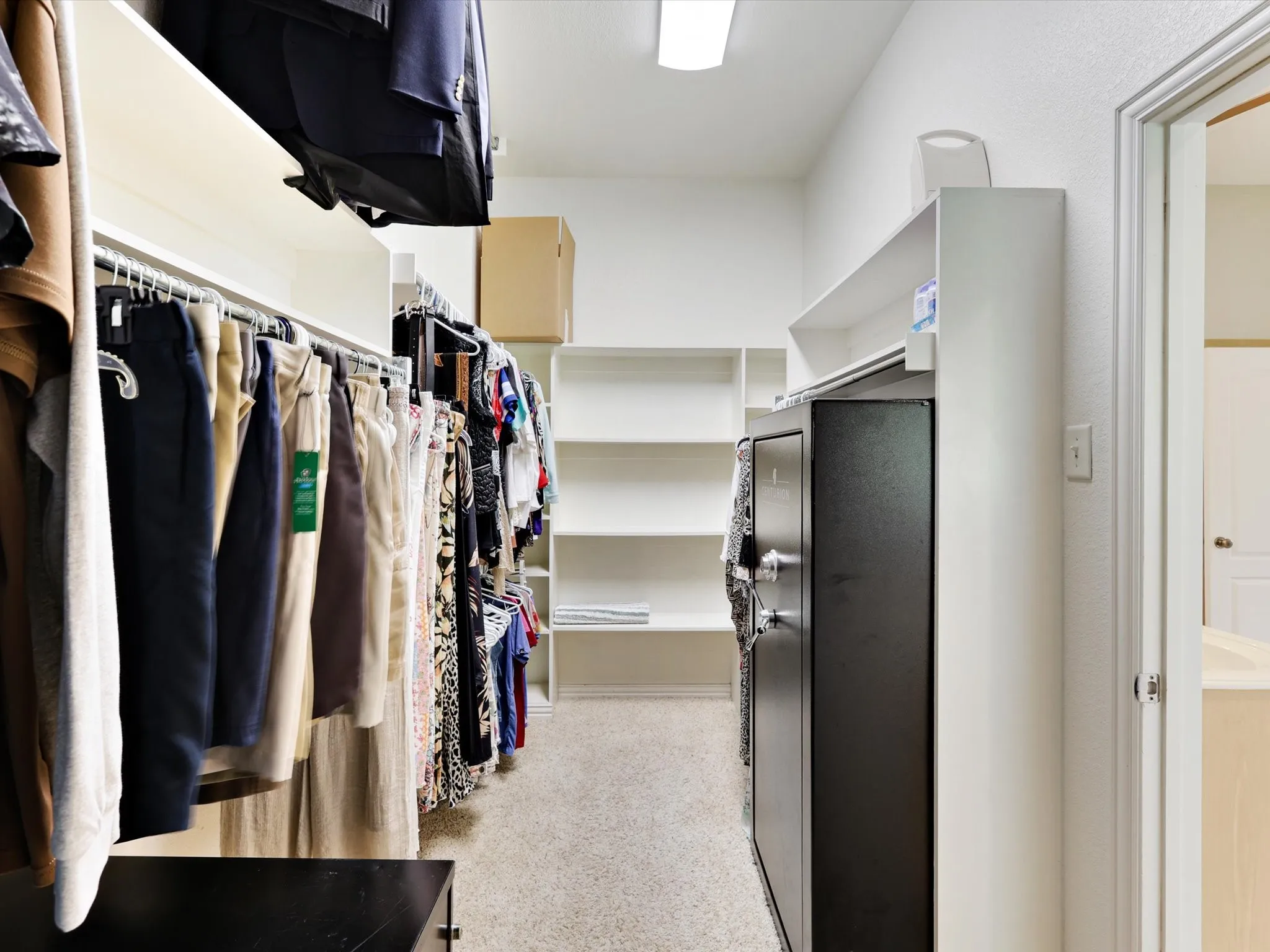 Walk-in closet featuring white built-in shelving, clothing rods, and a textured carpet flooring