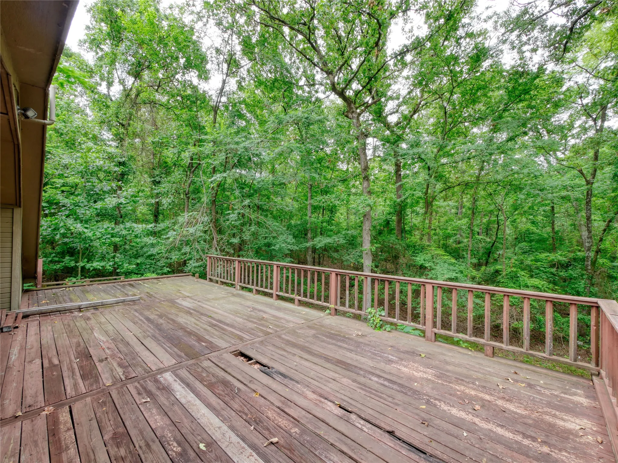 Expansive wood deck with wood plank flooring and a wood railing, surrounded by a dense tree canopy