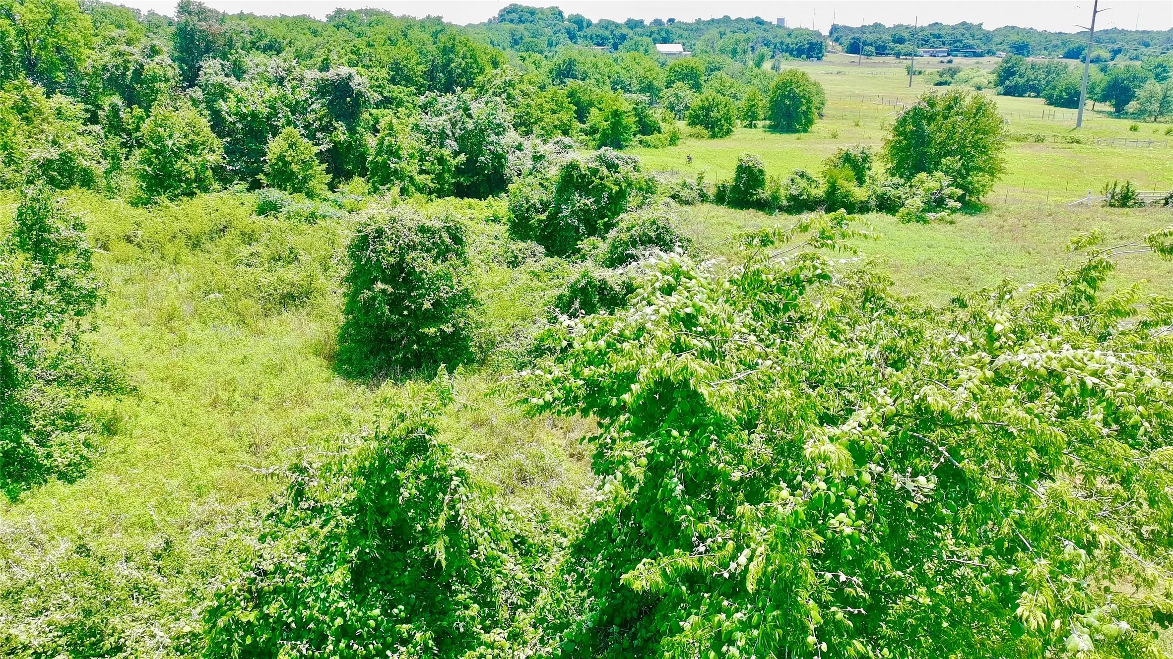 Farm For Sale in Parker County , 510 New Highland Road, Springtown, Texas 76082, 3 Bedroom, 2 Bathroom, 2 Garage spaces, 1,647 Sqft, built in 1998, mls#21292749, Real Estate Agent in Springtown, Homes For Sale in Parker county, Homes For Sale in Springtown, Realtor in Springtown Texas, Real Estate Brokerage Independent Realty Texas, Luminita Cordes Realtor