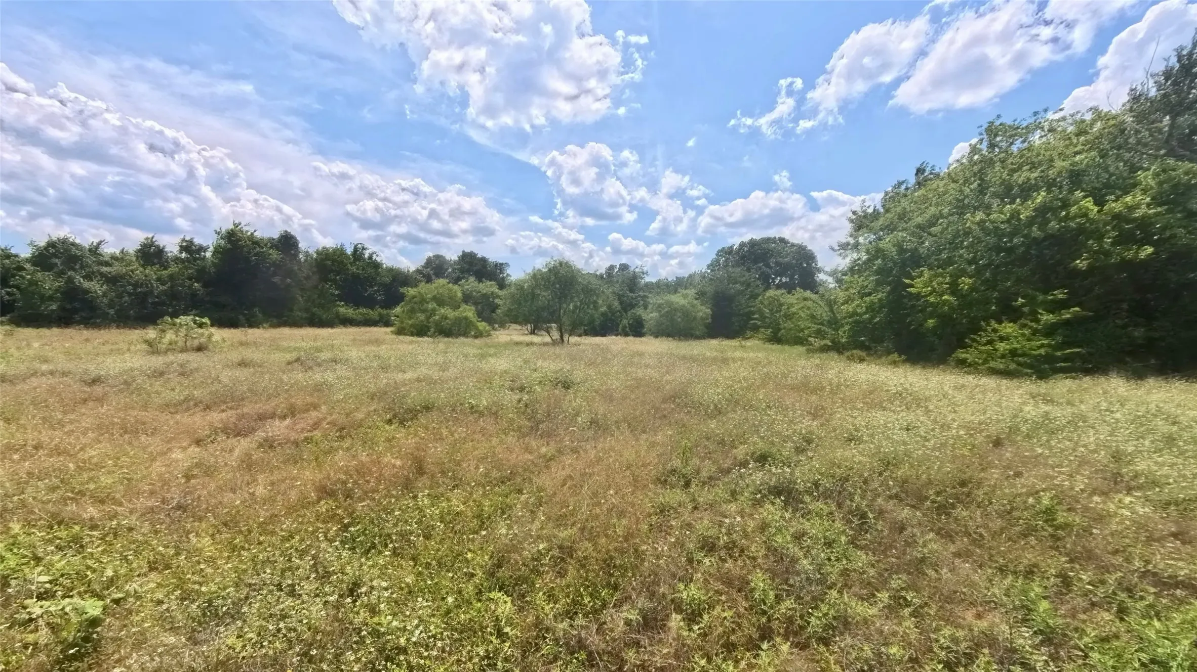 Farm For Sale in Parker County , 510 New Highland Road, Springtown, Texas 76082, 3 Bedroom, 2 Bathroom, 2 Garage spaces, 1,647 Sqft, built in 1998, mls#21292749, Real Estate Agent in Springtown, Homes For Sale in Parker county, Homes For Sale in Springtown, Realtor in Springtown Texas, Real Estate Brokerage Independent Realty Texas, Luminita Cordes Realtor