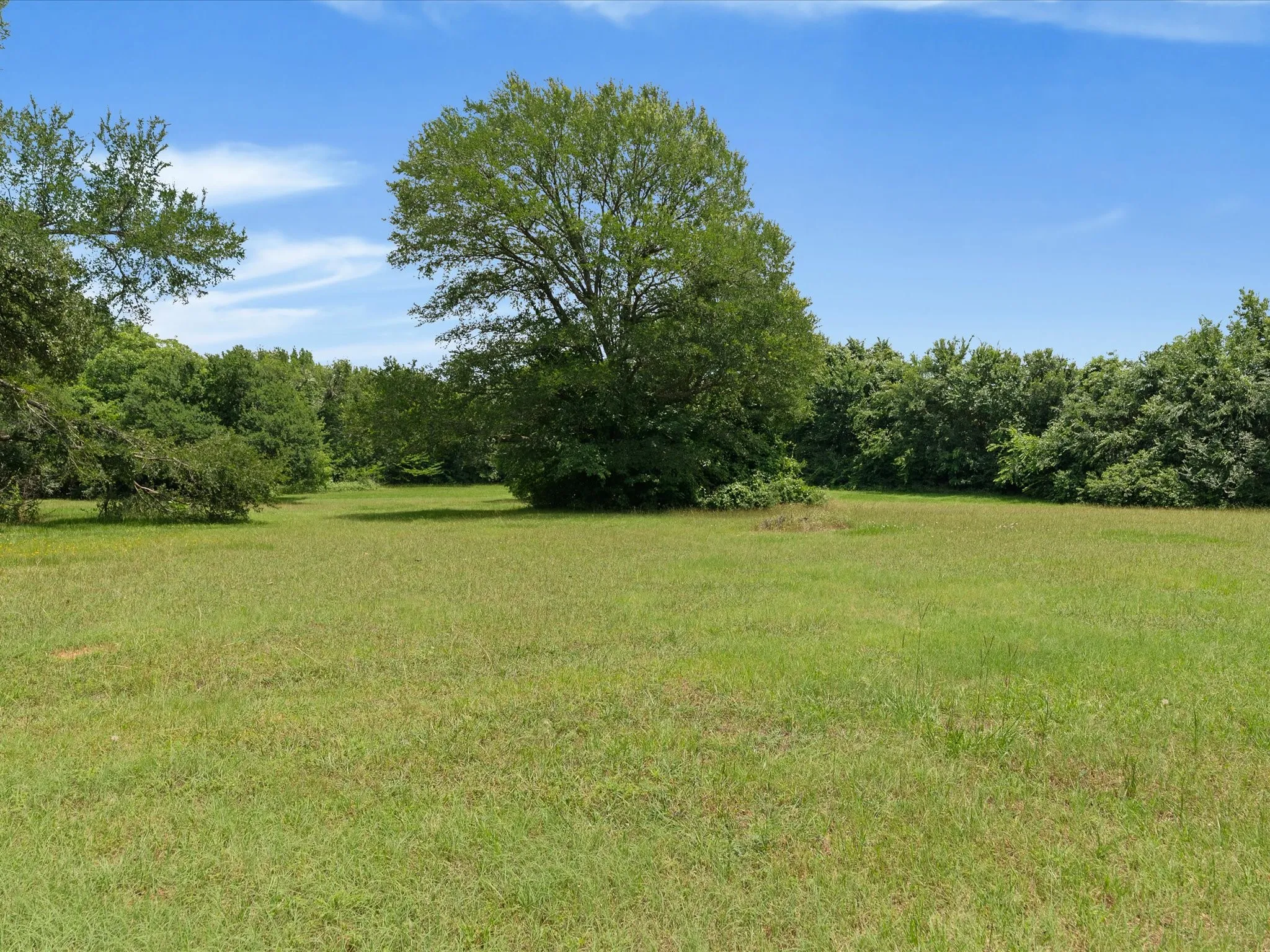 Single Family Residence For Sale in Tarrant County , 850 Newt Patterson Road, Mansfield, Texas 76063, 3 Bedroom, 2 Bathroom, Garage spaces, 1,994 Sqft, built in 1957, mls#21285570, Real Estate Agent in Mansfield, Homes For Sale in Tarrant county, Homes For Sale in Mansfield, Realtor in Mansfield Texas, Real Estate Brokerage Independent Realty Texas, Luminita Cordes Realtor