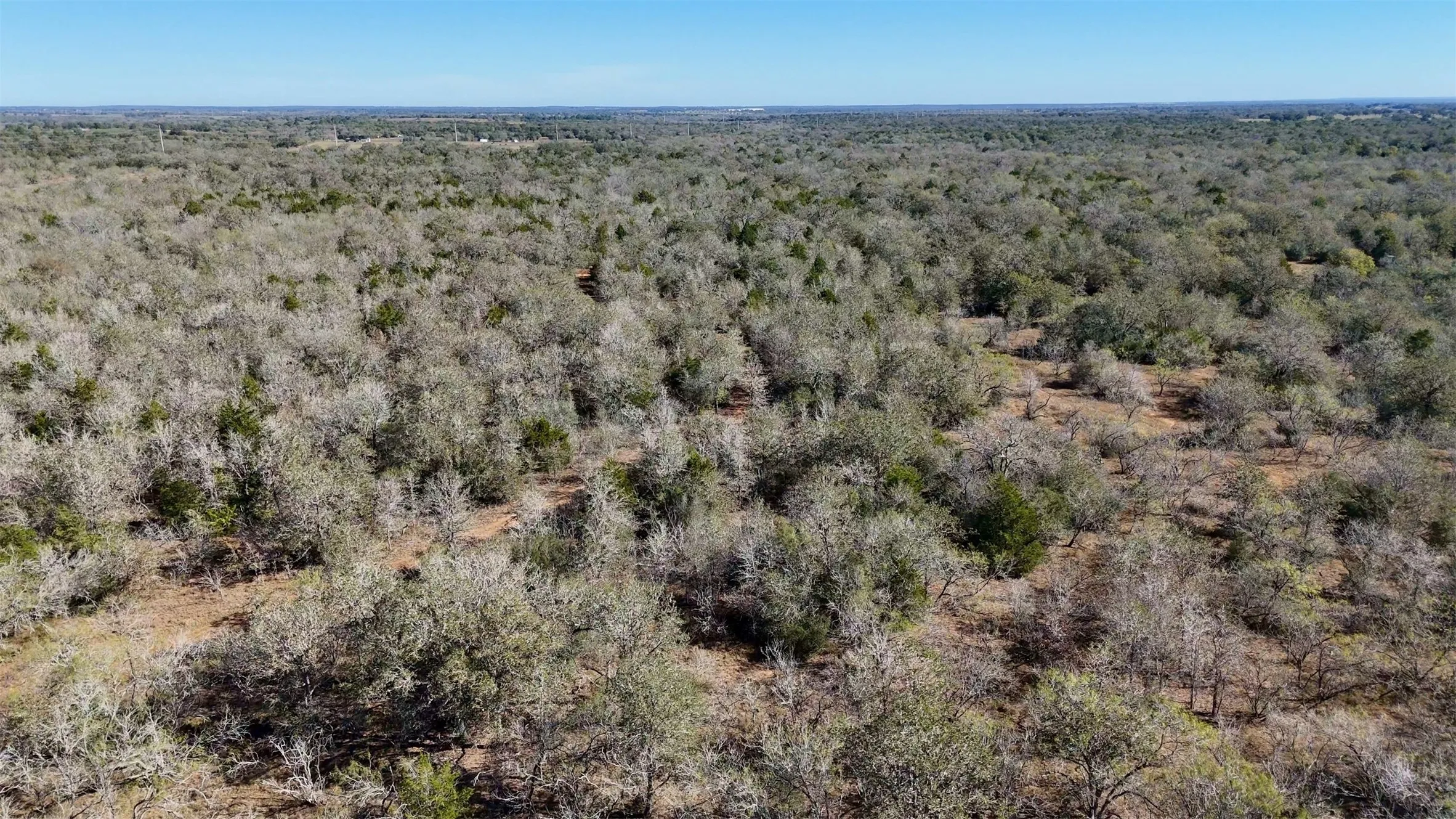 Unimproved Land For Sale in Gonzales County , Tract 1 County Road 283, Gonzales, Texas 78632, 0, 0, Garage spaces, 0 Sqft, built in 0, mls#21269476, Real Estate Agent in Gonzales, Homes For Sale in Gonzales county, Homes For Sale in Gonzales, Realtor in Gonzales Texas, Real Estate Brokerage Independent Realty Texas, Luminita Cordes Realtor