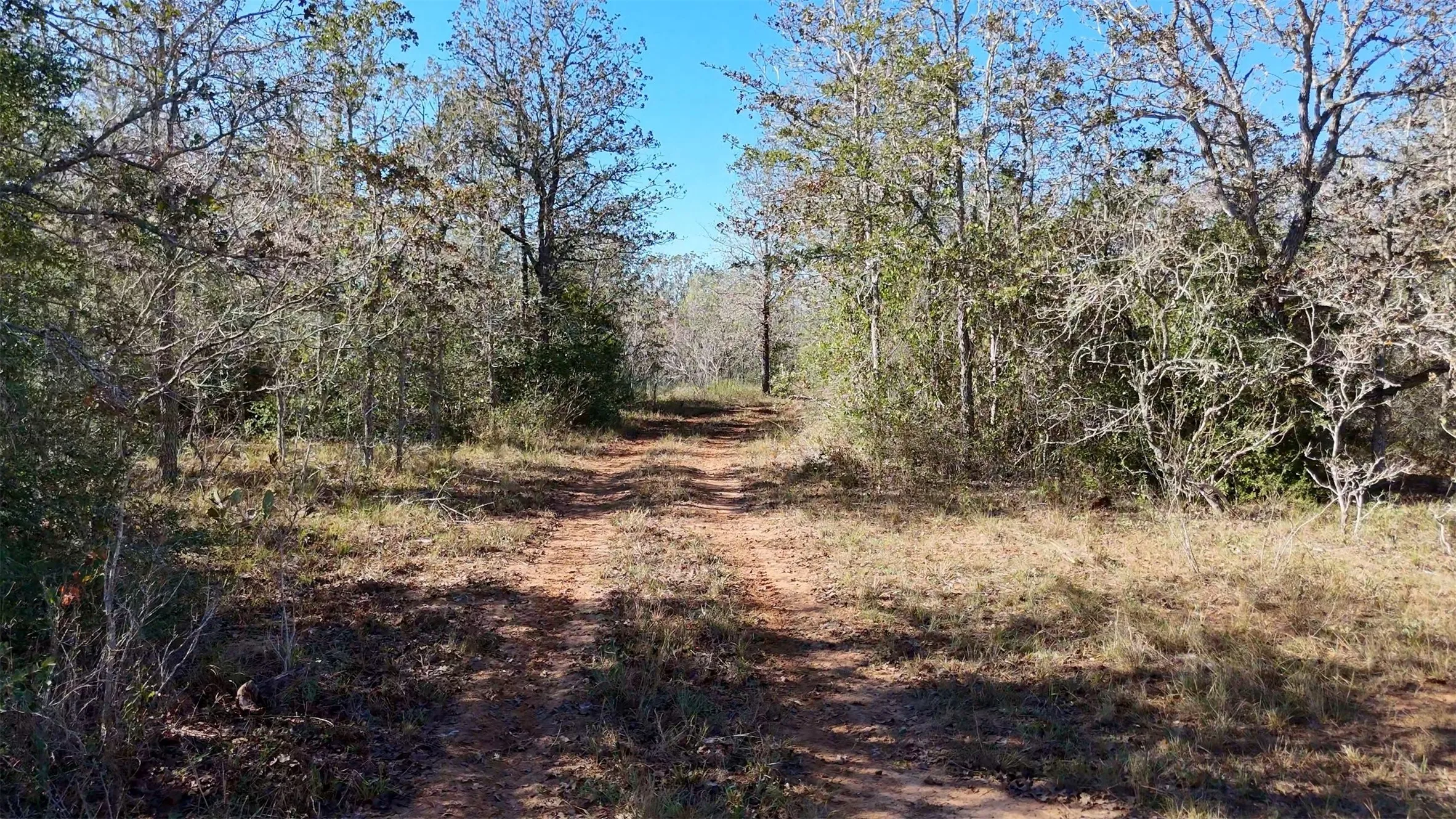 Unimproved Land For Sale in Gonzales County , Tract 1 County Road 283, Gonzales, Texas 78632, 0, 0, Garage spaces, 0 Sqft, built in 0, mls#21269476, Real Estate Agent in Gonzales, Homes For Sale in Gonzales county, Homes For Sale in Gonzales, Realtor in Gonzales Texas, Real Estate Brokerage Independent Realty Texas, Luminita Cordes Realtor