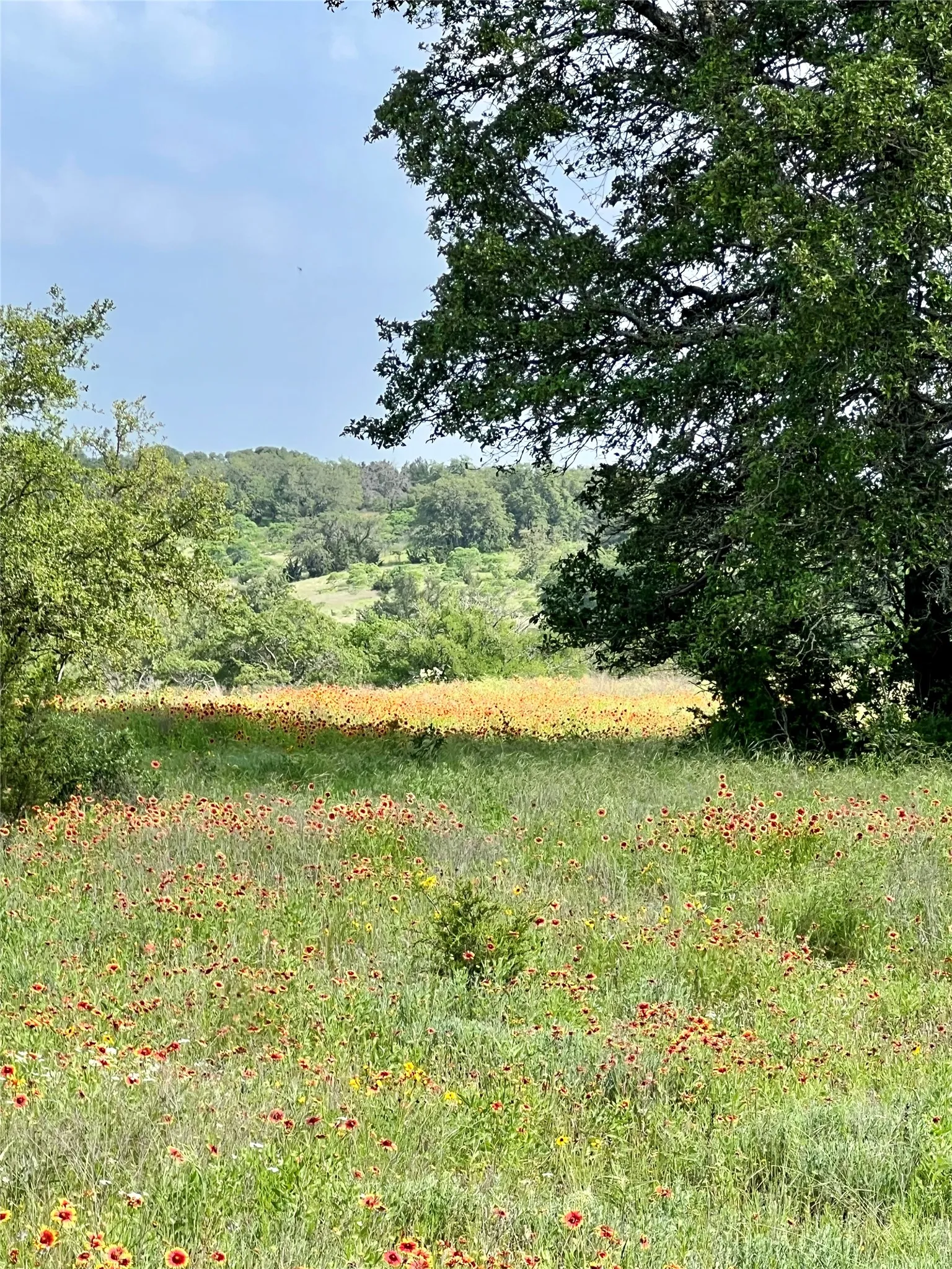 Farm For Sale in Bosque County , 660 FM 203, Walnut Springs, Texas 76690, 2 Bedroom, 2 Bathroom, Garage spaces, 1,941 Sqft, built in 1960, mls#21288812, Real Estate Agent in Walnut Springs, Homes For Sale in Bosque county, Homes For Sale in Walnut Springs, Realtor in Walnut Springs Texas, Real Estate Brokerage Independent Realty Texas, Luminita Cordes Realtor