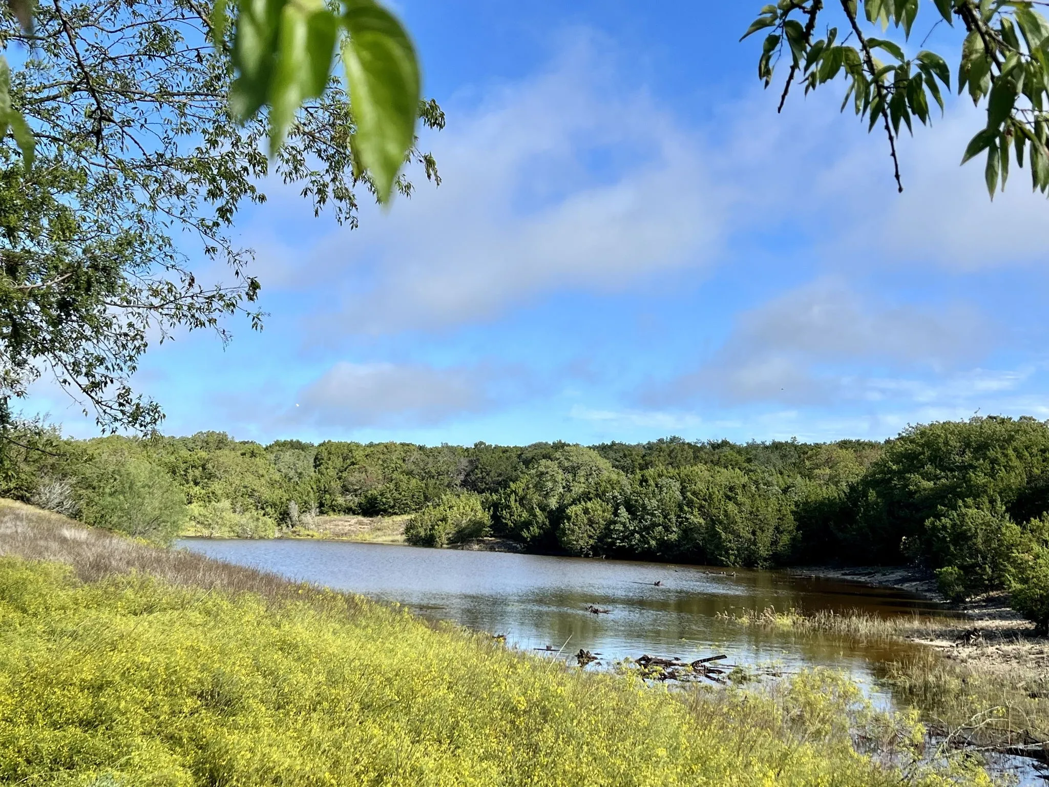 Farm For Sale in Bosque County , 660 FM 203, Walnut Springs, Texas 76690, 2 Bedroom, 2 Bathroom, Garage spaces, 1,941 Sqft, built in 1960, mls#21288812, Real Estate Agent in Walnut Springs, Homes For Sale in Bosque county, Homes For Sale in Walnut Springs, Realtor in Walnut Springs Texas, Real Estate Brokerage Independent Realty Texas, Luminita Cordes Realtor