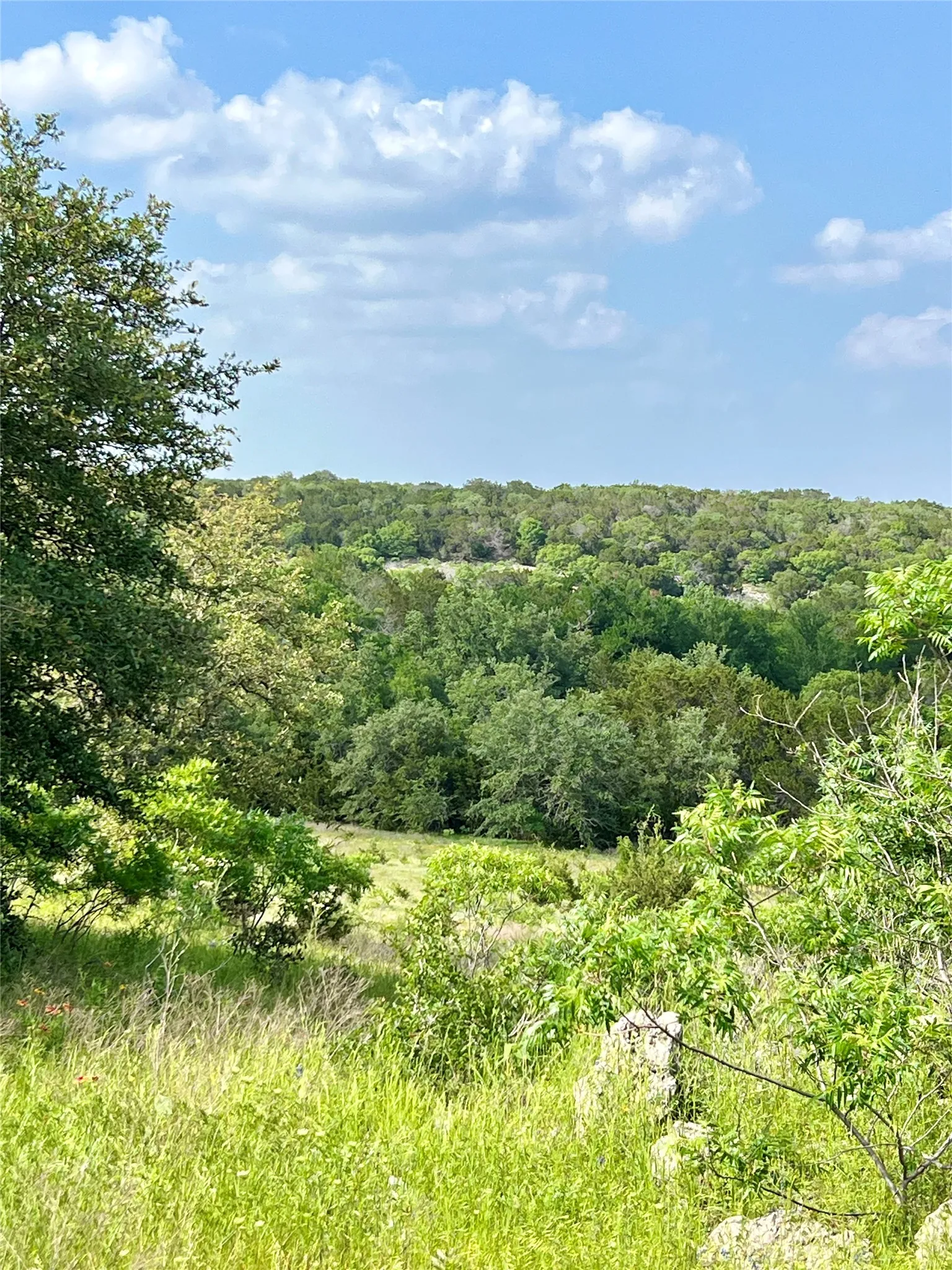 Farm For Sale in Bosque County , 660 FM 203, Walnut Springs, Texas 76690, 2 Bedroom, 2 Bathroom, Garage spaces, 1,941 Sqft, built in 1960, mls#21288812, Real Estate Agent in Walnut Springs, Homes For Sale in Bosque county, Homes For Sale in Walnut Springs, Realtor in Walnut Springs Texas, Real Estate Brokerage Independent Realty Texas, Luminita Cordes Realtor