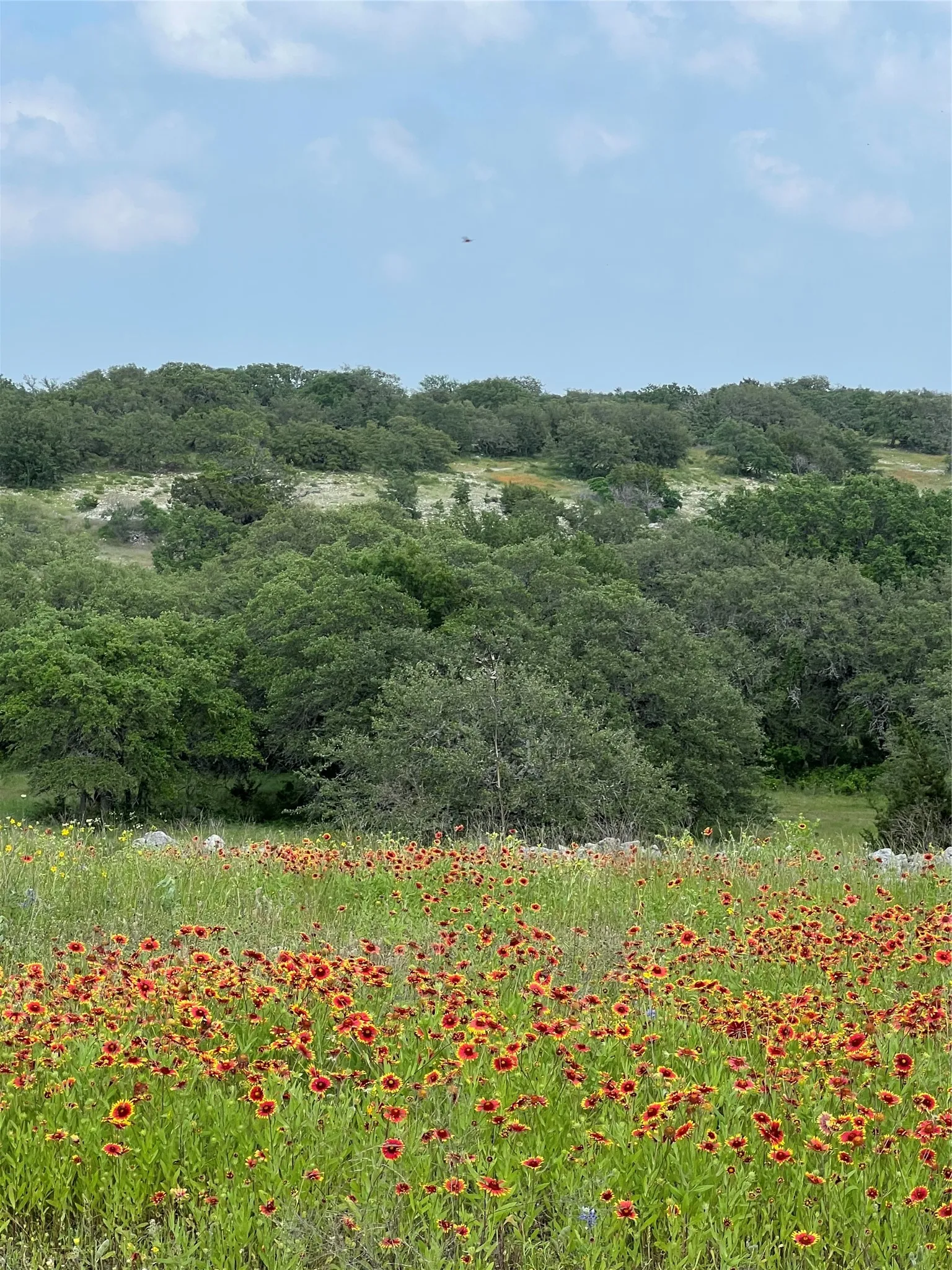 Farm For Sale in Bosque County , 660 FM 203, Walnut Springs, Texas 76690, 2 Bedroom, 2 Bathroom, Garage spaces, 1,941 Sqft, built in 1960, mls#21288812, Real Estate Agent in Walnut Springs, Homes For Sale in Bosque county, Homes For Sale in Walnut Springs, Realtor in Walnut Springs Texas, Real Estate Brokerage Independent Realty Texas, Luminita Cordes Realtor