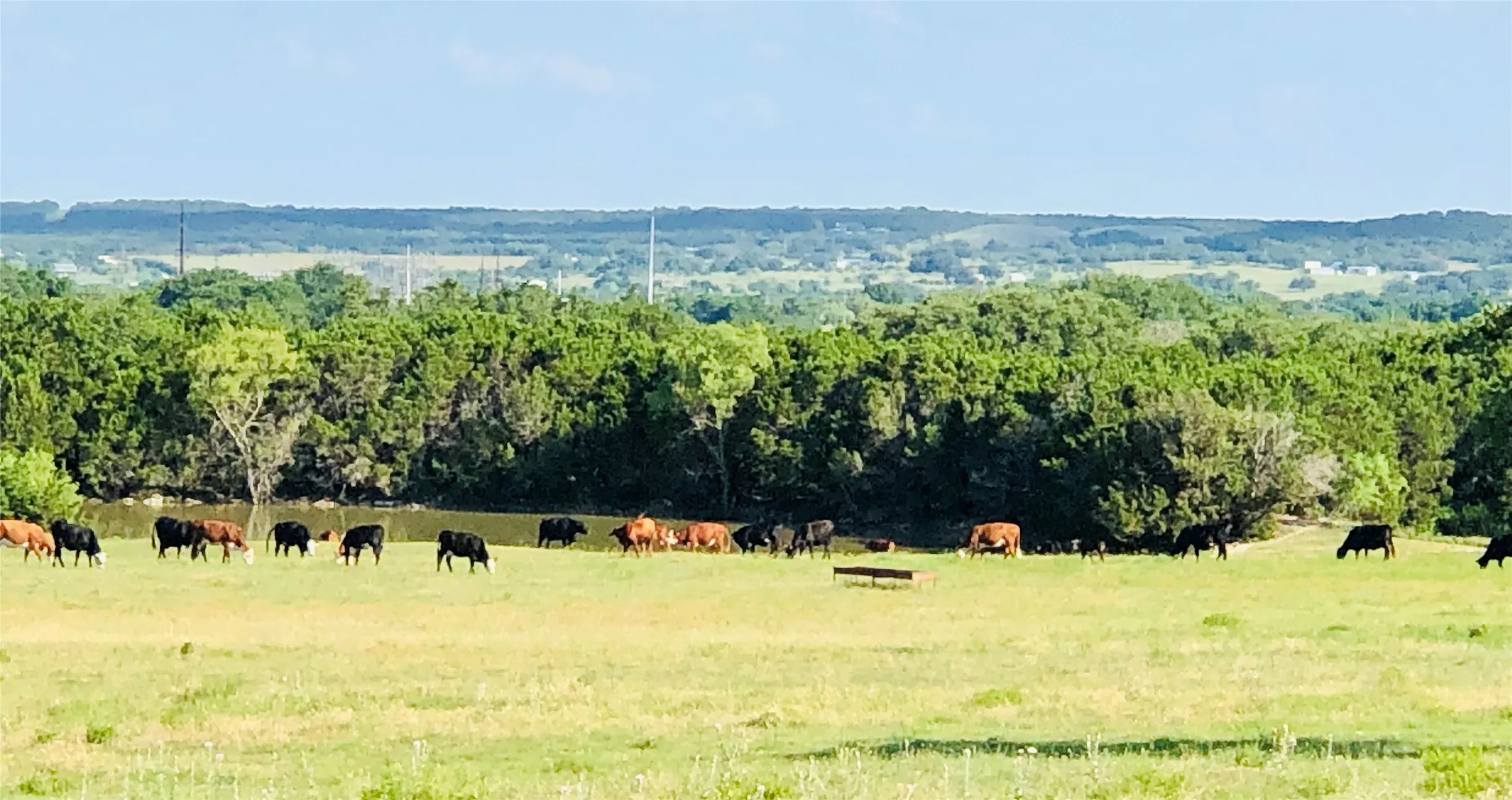 Farm For Sale in Bosque County , 660 FM 203, Walnut Springs, Texas 76690, 2 Bedroom, 2 Bathroom, Garage spaces, 1,941 Sqft, built in 1960, mls#21288812, Real Estate Agent in Walnut Springs, Homes For Sale in Bosque county, Homes For Sale in Walnut Springs, Realtor in Walnut Springs Texas, Real Estate Brokerage Independent Realty Texas, Luminita Cordes Realtor