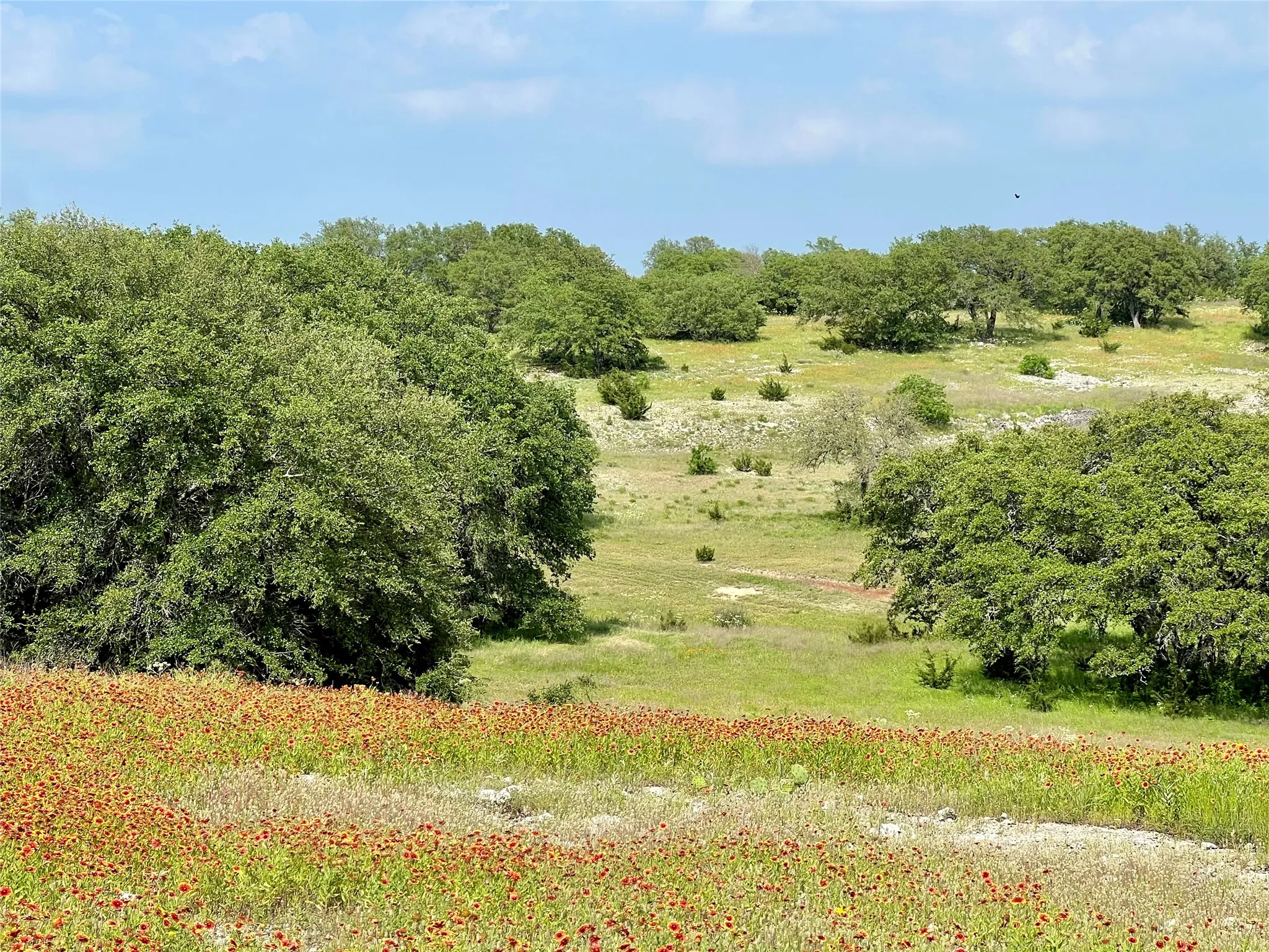 Farm For Sale in Bosque County , 660 FM 203, Walnut Springs, Texas 76690, 2 Bedroom, 2 Bathroom, Garage spaces, 1,941 Sqft, built in 1960, mls#21288812, Real Estate Agent in Walnut Springs, Homes For Sale in Bosque county, Homes For Sale in Walnut Springs, Realtor in Walnut Springs Texas, Real Estate Brokerage Independent Realty Texas, Luminita Cordes Realtor