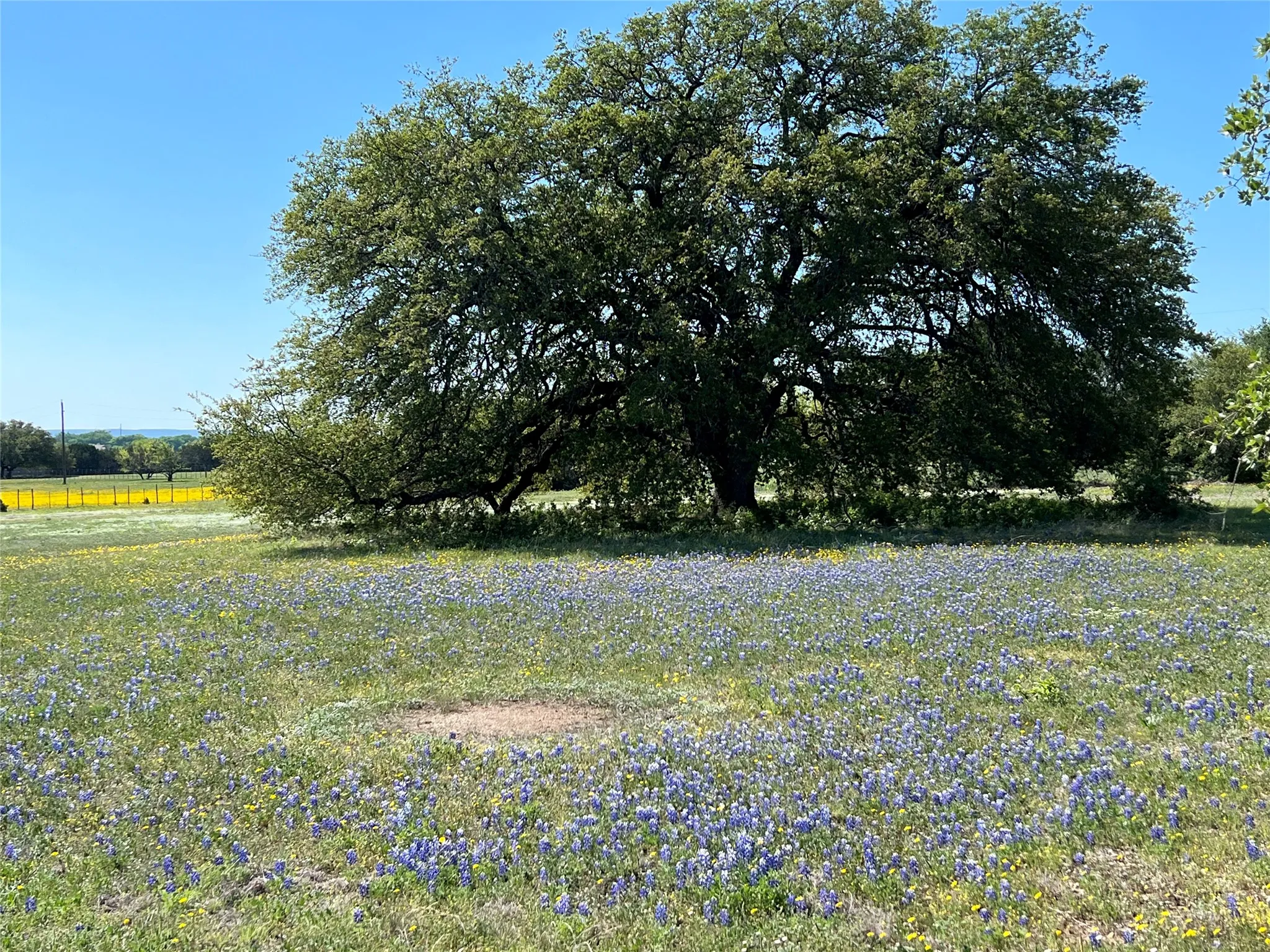 Farm For Sale in Bosque County , 660 FM 203, Walnut Springs, Texas 76690, 2 Bedroom, 2 Bathroom, Garage spaces, 1,941 Sqft, built in 1960, mls#21288812, Real Estate Agent in Walnut Springs, Homes For Sale in Bosque county, Homes For Sale in Walnut Springs, Realtor in Walnut Springs Texas, Real Estate Brokerage Independent Realty Texas, Luminita Cordes Realtor