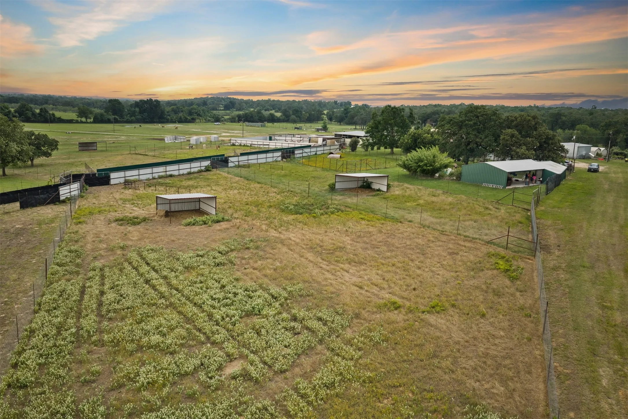 Farm For Sale in Milam County , 132 County Road 267, Cameron, Texas 76520, 4 Bedroom, 3 Bathroom, Garage spaces, 1,754 Sqft, built in 1990, mls#21291441, Real Estate Agent in Cameron, Homes For Sale in Milam county, Homes For Sale in Cameron, Realtor in Cameron Texas, Real Estate Brokerage Independent Realty Texas, Luminita Cordes Realtor