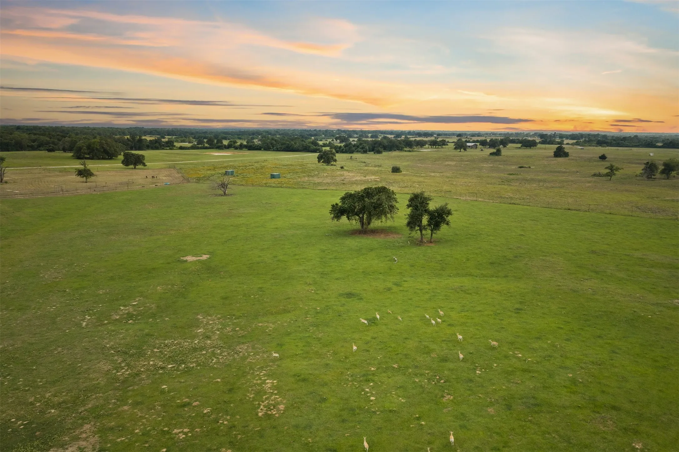 Farm For Sale in Milam County , 132 County Road 267, Cameron, Texas 76520, 4 Bedroom, 3 Bathroom, Garage spaces, 1,754 Sqft, built in 1990, mls#21291441, Real Estate Agent in Cameron, Homes For Sale in Milam county, Homes For Sale in Cameron, Realtor in Cameron Texas, Real Estate Brokerage Independent Realty Texas, Luminita Cordes Realtor