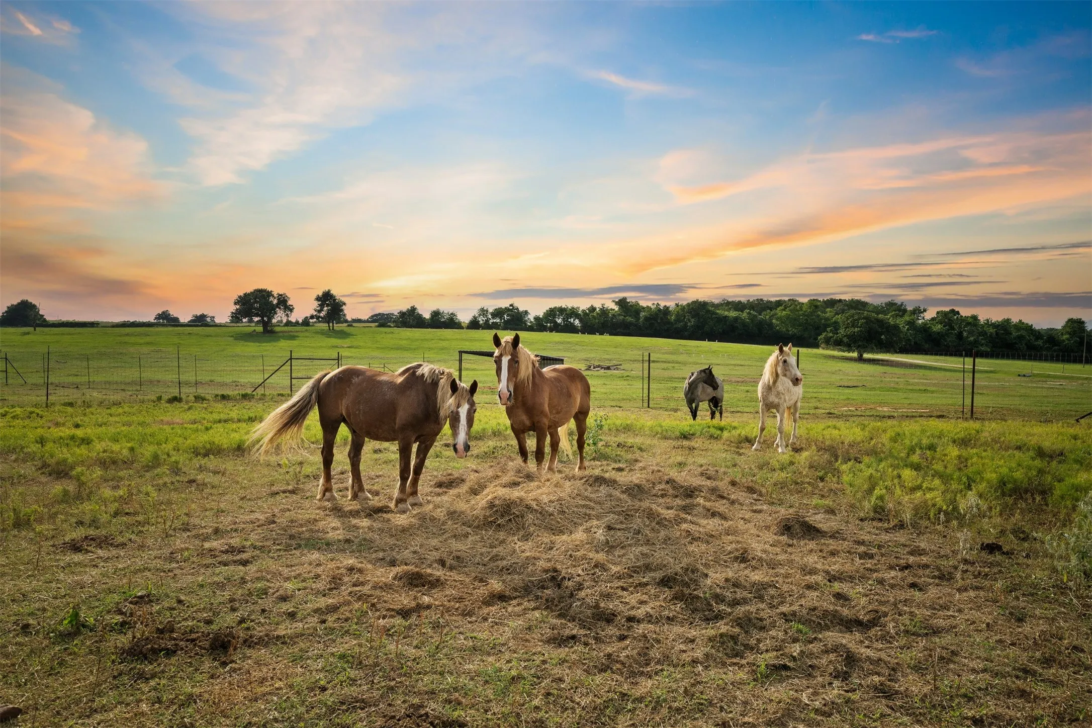 Farm For Sale in Milam County , 132 County Road 267, Cameron, Texas 76520, 4 Bedroom, 3 Bathroom, Garage spaces, 1,754 Sqft, built in 1990, mls#21291441, Real Estate Agent in Cameron, Homes For Sale in Milam county, Homes For Sale in Cameron, Realtor in Cameron Texas, Real Estate Brokerage Independent Realty Texas, Luminita Cordes Realtor