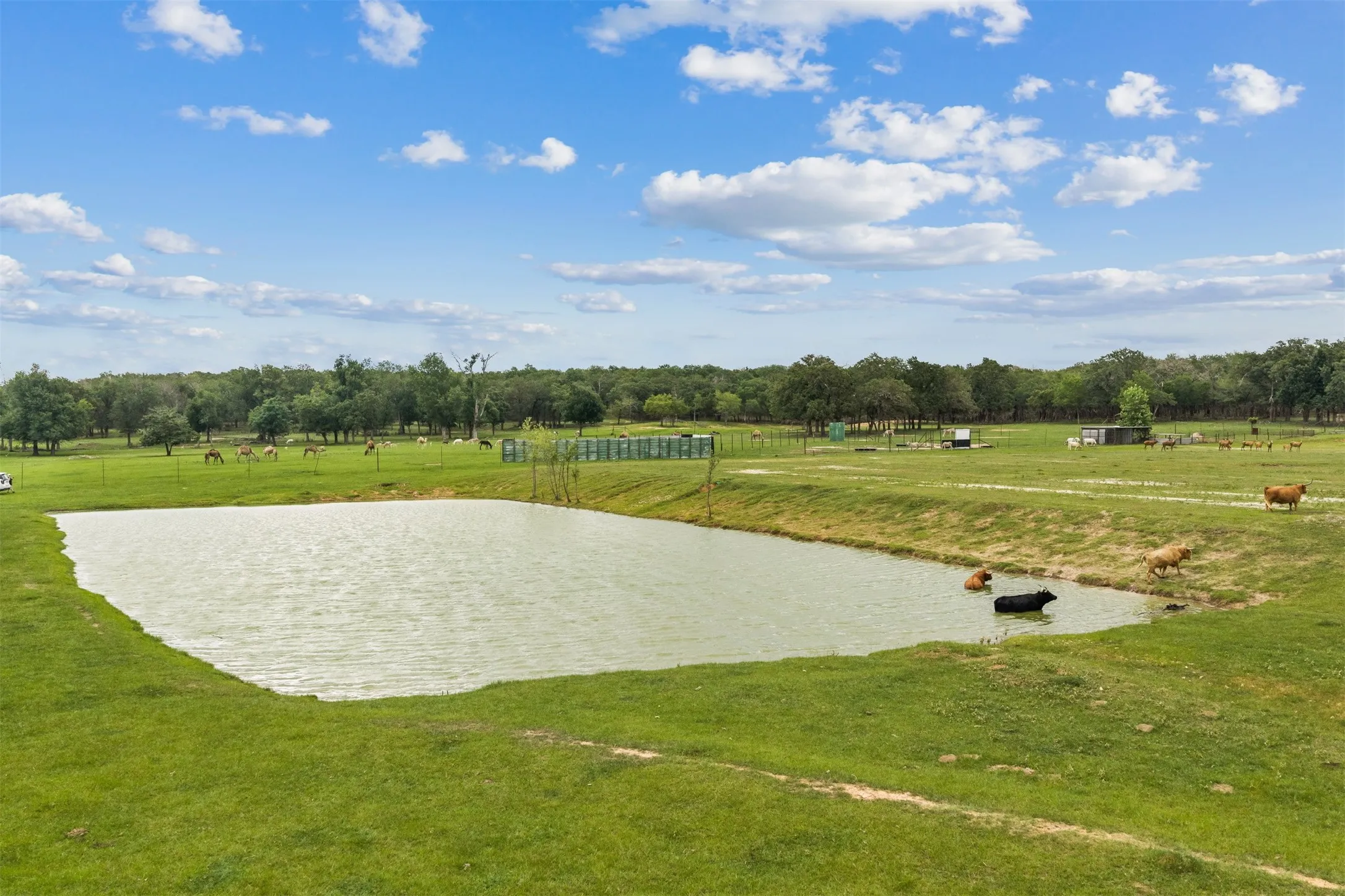 Farm For Sale in Milam County , 132 County Road 267, Cameron, Texas 76520, 4 Bedroom, 3 Bathroom, Garage spaces, 1,754 Sqft, built in 1990, mls#21291441, Real Estate Agent in Cameron, Homes For Sale in Milam county, Homes For Sale in Cameron, Realtor in Cameron Texas, Real Estate Brokerage Independent Realty Texas, Luminita Cordes Realtor