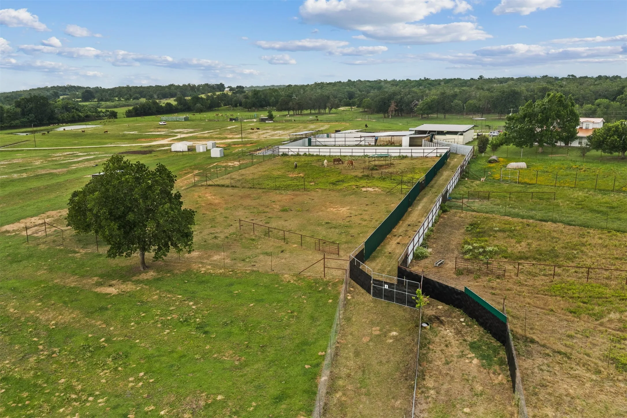Farm For Sale in Milam County , 132 County Road 267, Cameron, Texas 76520, 4 Bedroom, 3 Bathroom, Garage spaces, 1,754 Sqft, built in 1990, mls#21291441, Real Estate Agent in Cameron, Homes For Sale in Milam county, Homes For Sale in Cameron, Realtor in Cameron Texas, Real Estate Brokerage Independent Realty Texas, Luminita Cordes Realtor