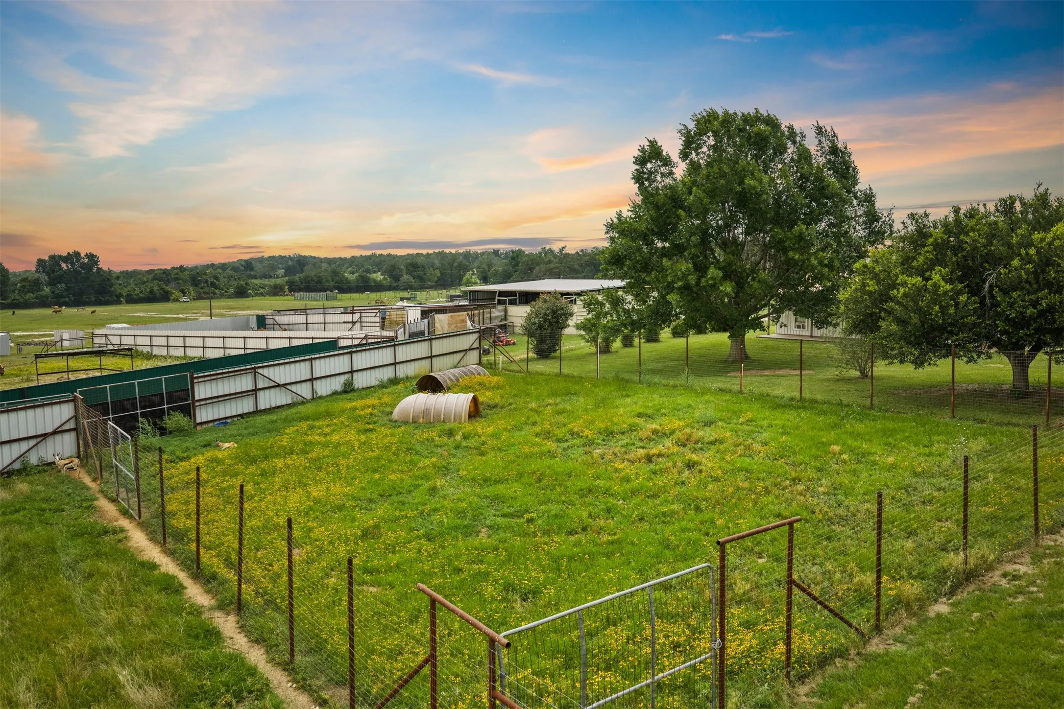 Farm For Sale in Milam County , 132 County Road 267, Cameron, Texas 76520, 4 Bedroom, 3 Bathroom, Garage spaces, 1,754 Sqft, built in 1990, mls#21291441, Real Estate Agent in Cameron, Homes For Sale in Milam county, Homes For Sale in Cameron, Realtor in Cameron Texas, Real Estate Brokerage Independent Realty Texas, Luminita Cordes Realtor