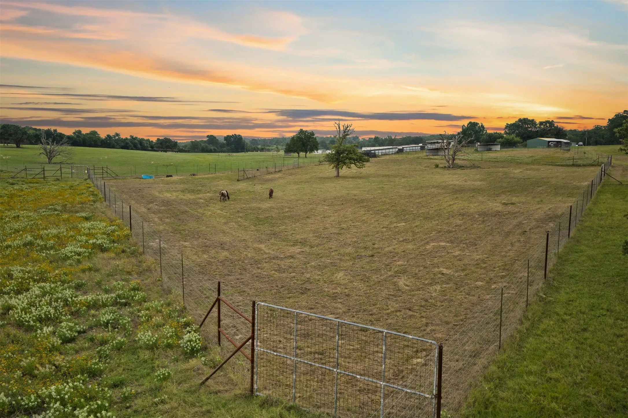 Farm For Sale in Milam County , 132 County Road 267, Cameron, Texas 76520, 4 Bedroom, 3 Bathroom, Garage spaces, 1,754 Sqft, built in 1990, mls#21291441, Real Estate Agent in Cameron, Homes For Sale in Milam county, Homes For Sale in Cameron, Realtor in Cameron Texas, Real Estate Brokerage Independent Realty Texas, Luminita Cordes Realtor