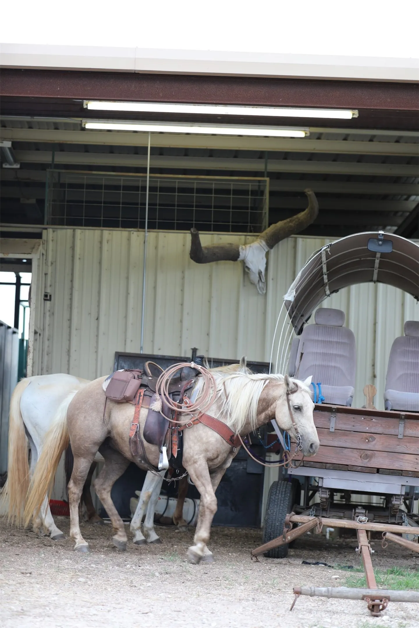 Farm For Sale in Milam County , 132 County Road 267, Cameron, Texas 76520, 4 Bedroom, 3 Bathroom, Garage spaces, 1,754 Sqft, built in 1990, mls#21291441, Real Estate Agent in Cameron, Homes For Sale in Milam county, Homes For Sale in Cameron, Realtor in Cameron Texas, Real Estate Brokerage Independent Realty Texas, Luminita Cordes Realtor