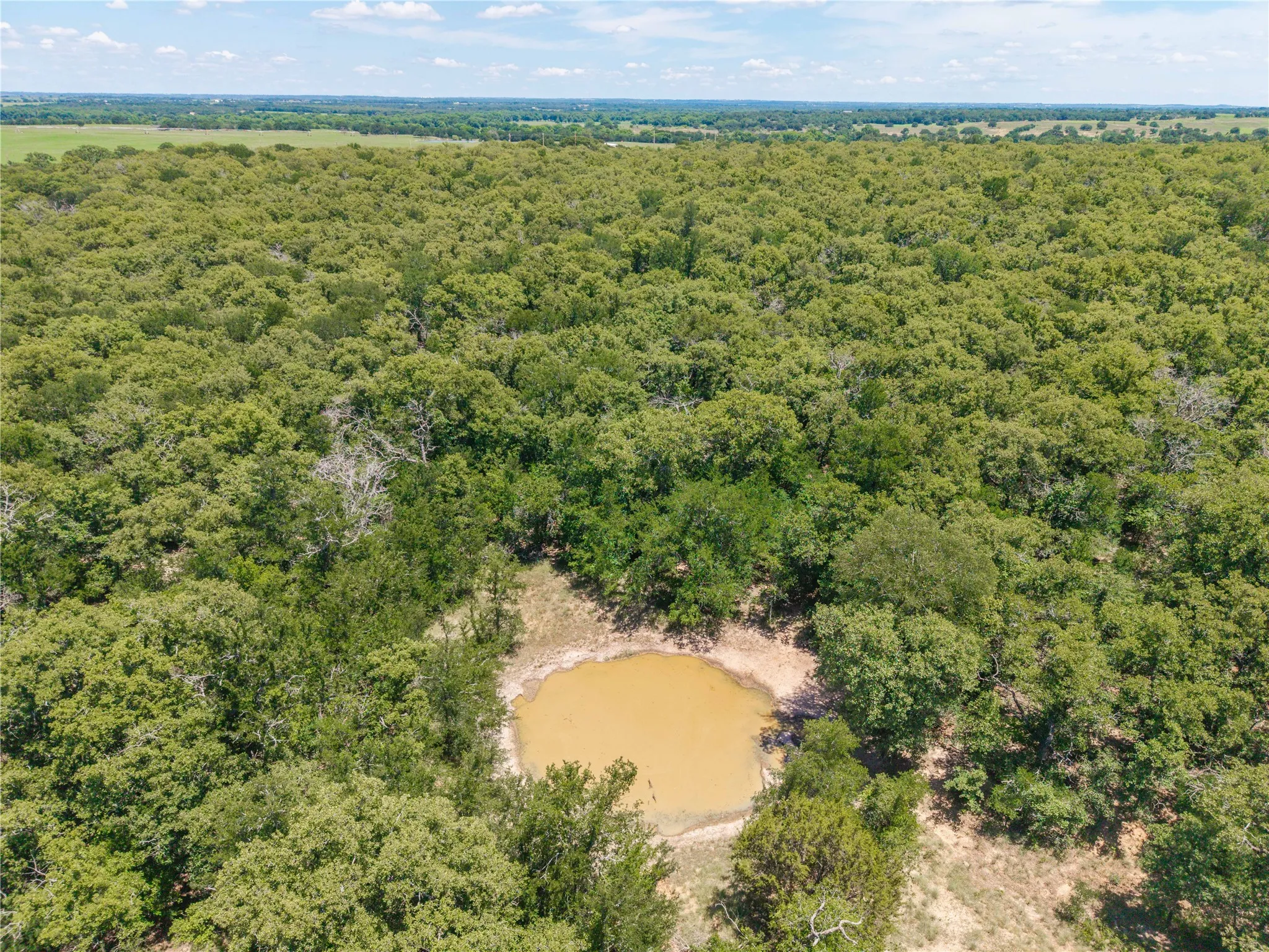 Unimproved Land For Sale in Comanche County , 18 A Tract 1 Highway 16, De Leon, Texas 76444, 0, 0, Garage spaces, 0 Sqft, built in 0, mls#21293343, Real Estate Agent in De Leon, Homes For Sale in Comanche county, Homes For Sale in De Leon, Realtor in De Leon Texas, Real Estate Brokerage Independent Realty Texas, Luminita Cordes Realtor