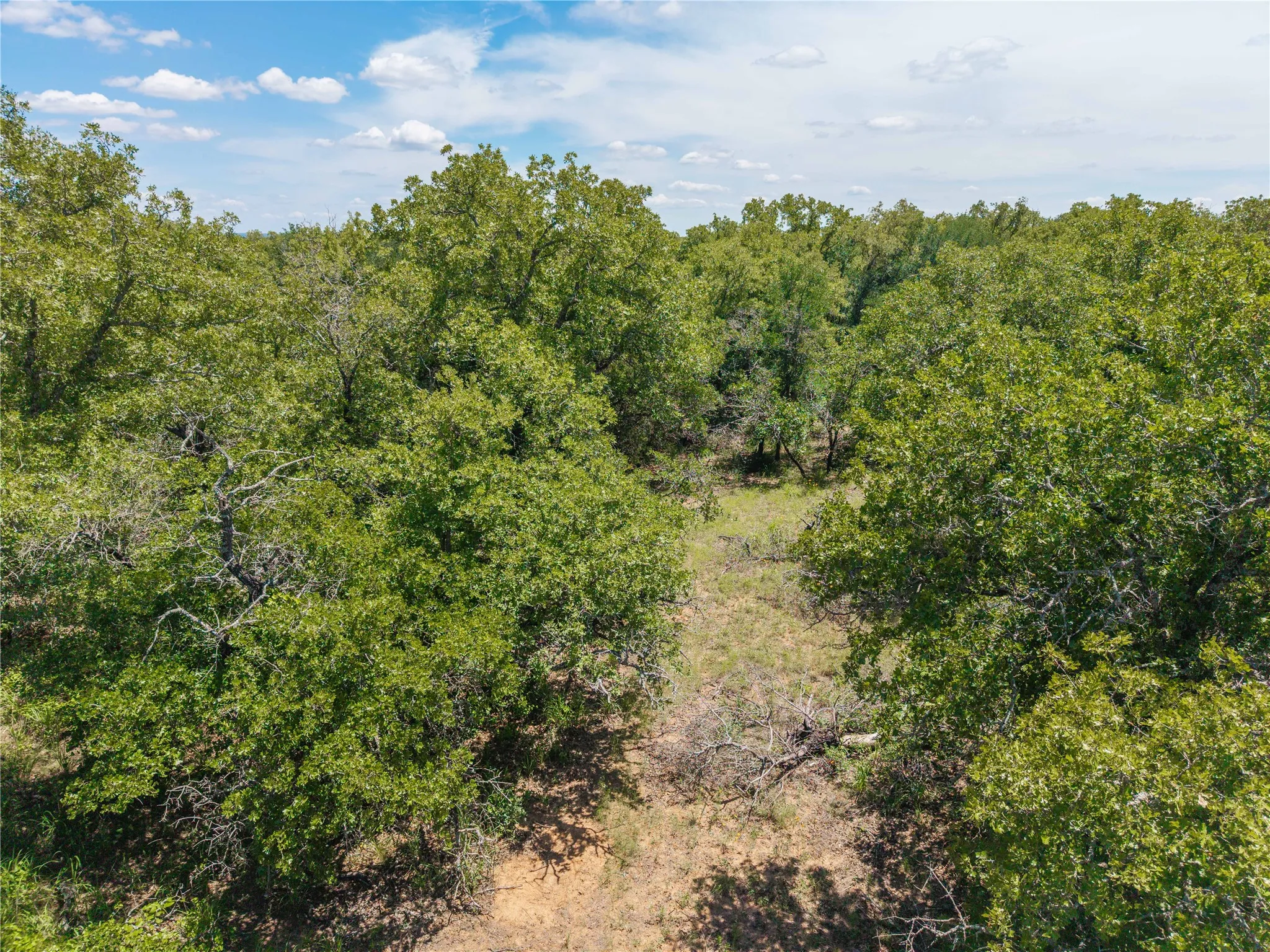 Unimproved Land For Sale in Comanche County , 18 A Tract 1 Highway 16, De Leon, Texas 76444, 0, 0, Garage spaces, 0 Sqft, built in 0, mls#21293343, Real Estate Agent in De Leon, Homes For Sale in Comanche county, Homes For Sale in De Leon, Realtor in De Leon Texas, Real Estate Brokerage Independent Realty Texas, Luminita Cordes Realtor