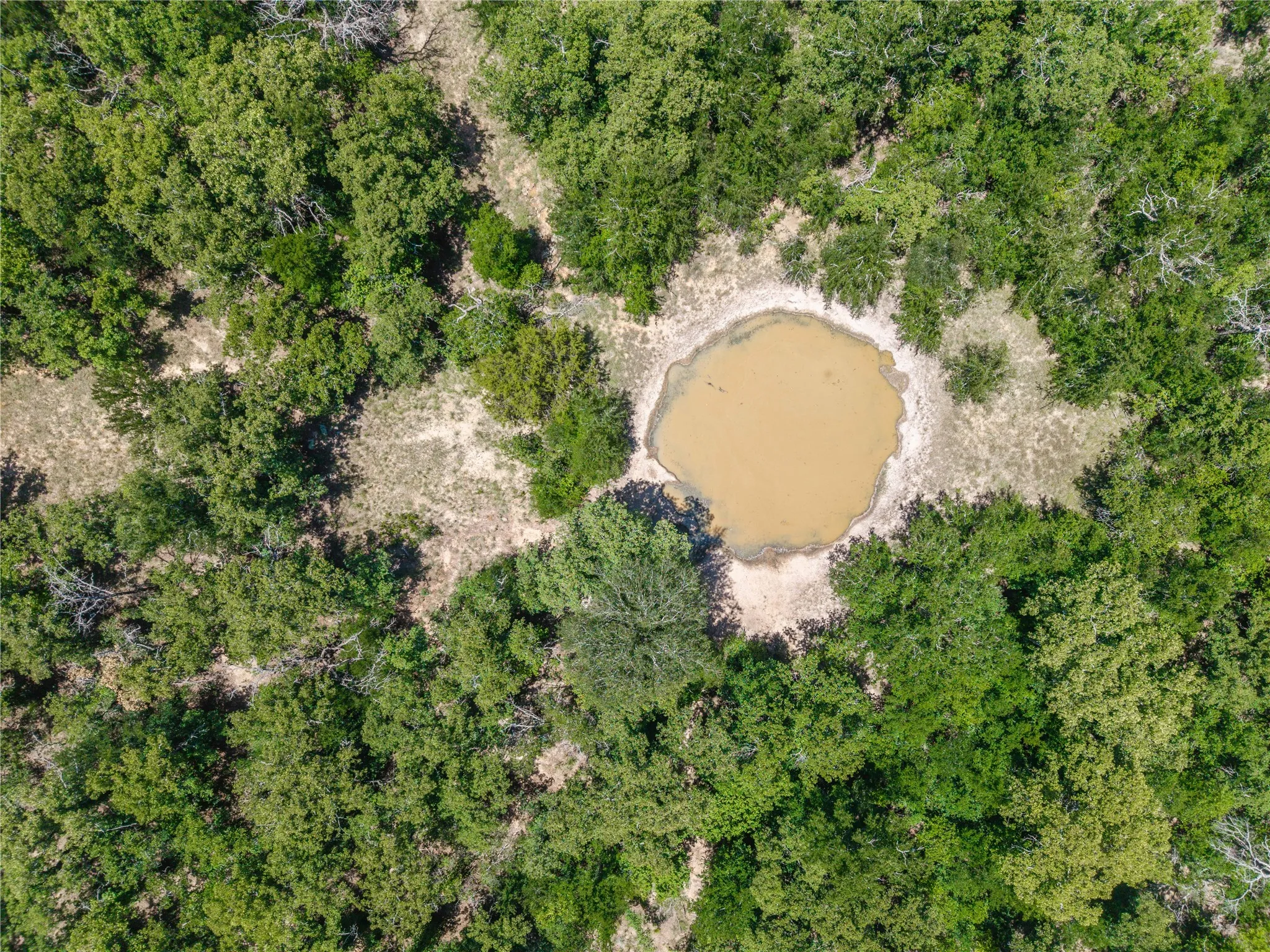 Unimproved Land For Sale in Comanche County , 18 A Tract 1 Highway 16, De Leon, Texas 76444, 0, 0, Garage spaces, 0 Sqft, built in 0, mls#21293343, Real Estate Agent in De Leon, Homes For Sale in Comanche county, Homes For Sale in De Leon, Realtor in De Leon Texas, Real Estate Brokerage Independent Realty Texas, Luminita Cordes Realtor