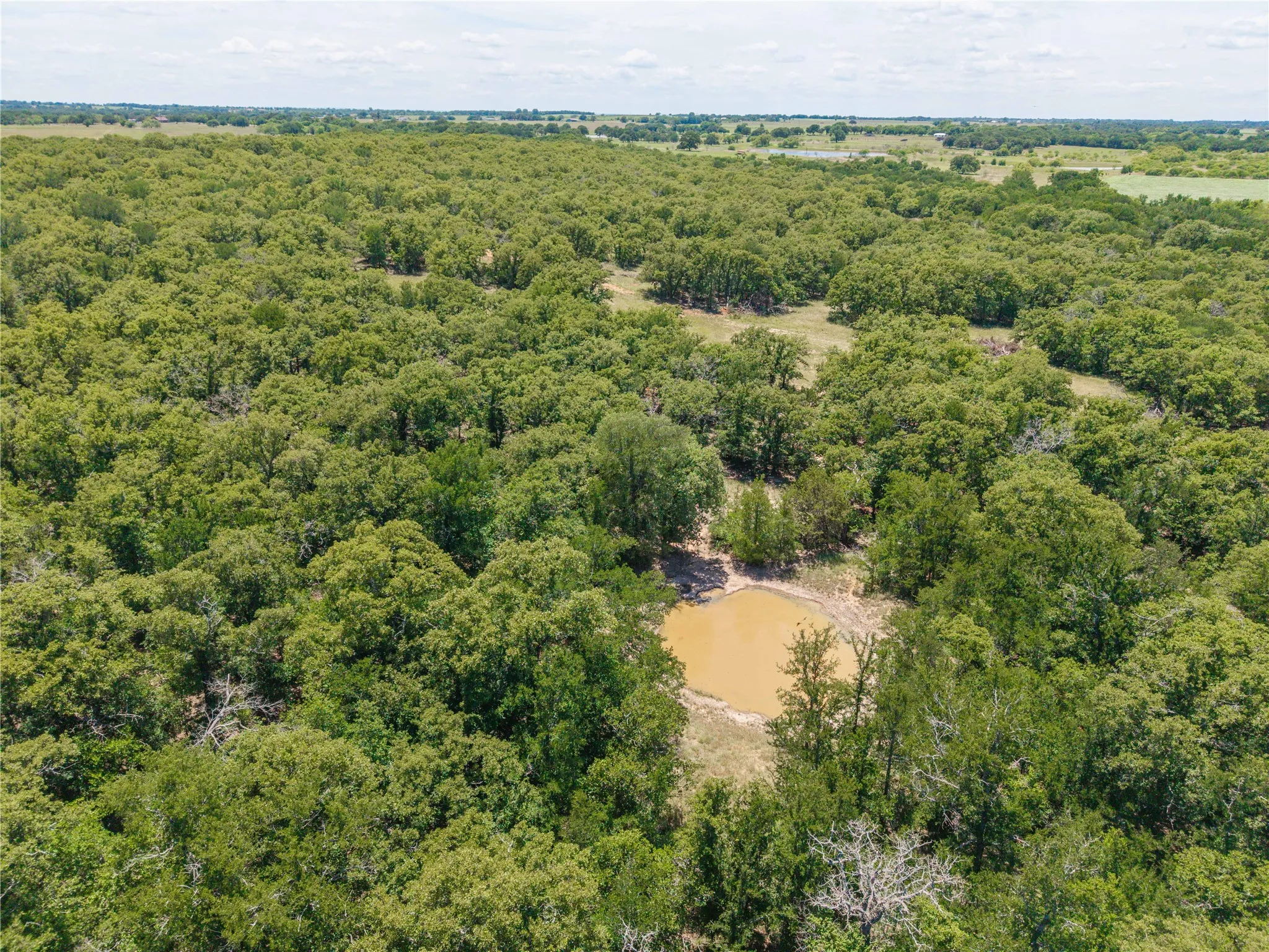 Unimproved Land For Sale in Comanche County , 18 A Tract 1 Highway 16, De Leon, Texas 76444, 0, 0, Garage spaces, 0 Sqft, built in 0, mls#21293343, Real Estate Agent in De Leon, Homes For Sale in Comanche county, Homes For Sale in De Leon, Realtor in De Leon Texas, Real Estate Brokerage Independent Realty Texas, Luminita Cordes Realtor