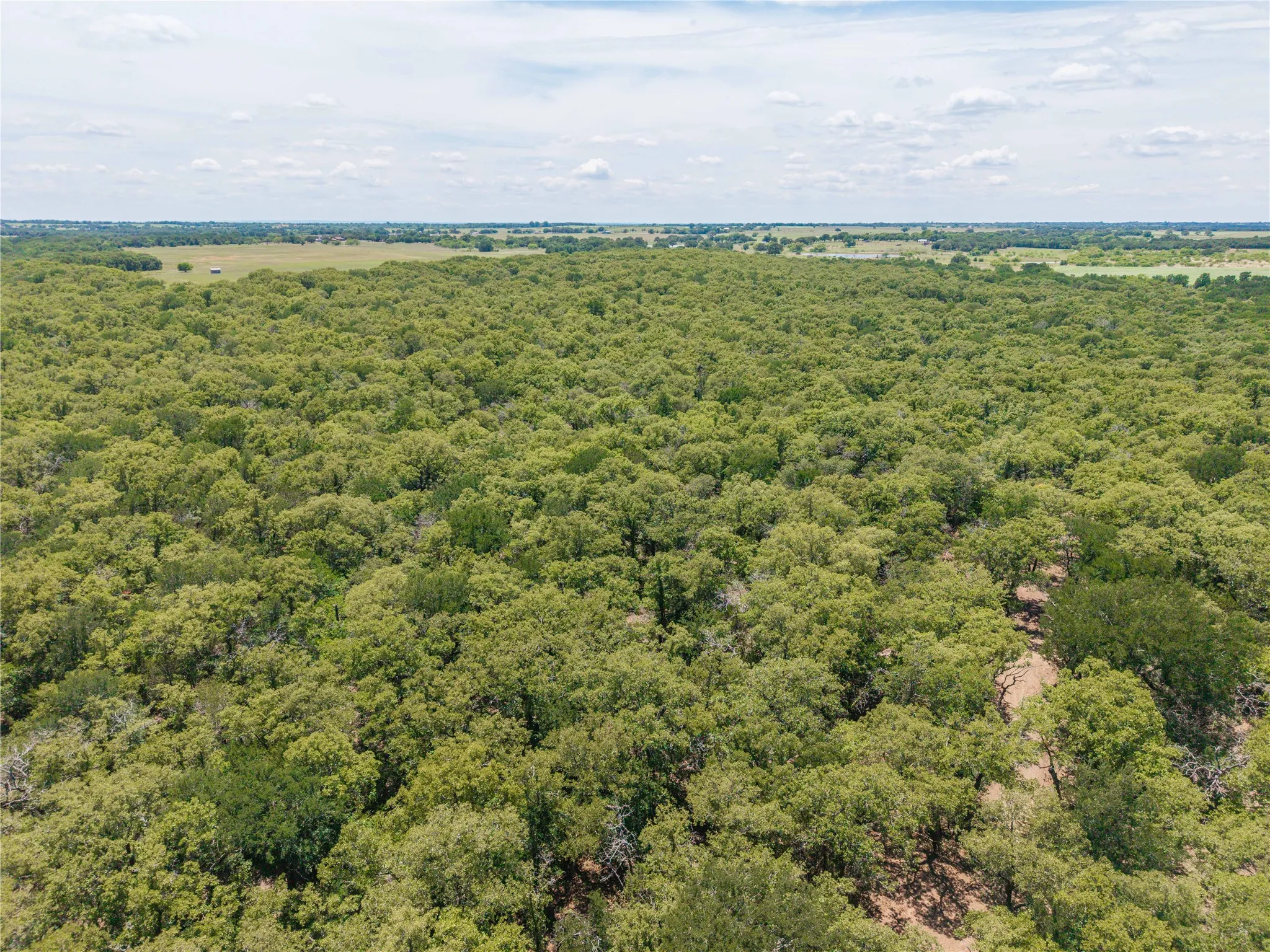 Unimproved Land For Sale in Comanche County , 18 A Tract 1 Highway 16, De Leon, Texas 76444, 0, 0, Garage spaces, 0 Sqft, built in 0, mls#21293343, Real Estate Agent in De Leon, Homes For Sale in Comanche county, Homes For Sale in De Leon, Realtor in De Leon Texas, Real Estate Brokerage Independent Realty Texas, Luminita Cordes Realtor