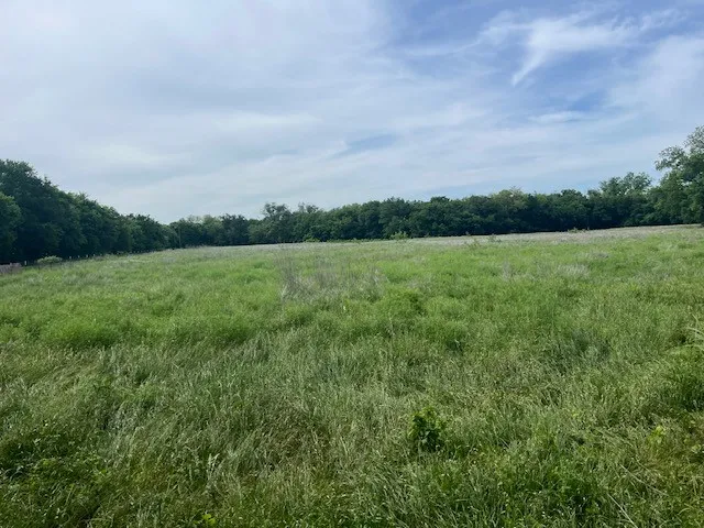 Unimproved Land For Sale in Erath County , TBD E Collins, Stephenville, Texas 76401, 0, 0, Garage spaces, 0 Sqft, built in 0, Price $74,900, mls#21293387, Real Estate Agent in Stephenville, Homes For Sale in Erath county, Homes For Sale in Stephenville, Realtor in Stephenville Texas, Real Estate Brokerage Independent Realty Texas, Luminita Cordes Realtor