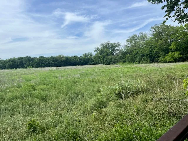 Unimproved Land For Sale in Erath County , TBD E Collins, Stephenville, Texas 76401, 0, 0, Garage spaces, 0 Sqft, built in 0, Price $74,900, mls#21293387, Real Estate Agent in Stephenville, Homes For Sale in Erath county, Homes For Sale in Stephenville, Realtor in Stephenville Texas, Real Estate Brokerage Independent Realty Texas, Luminita Cordes Realtor