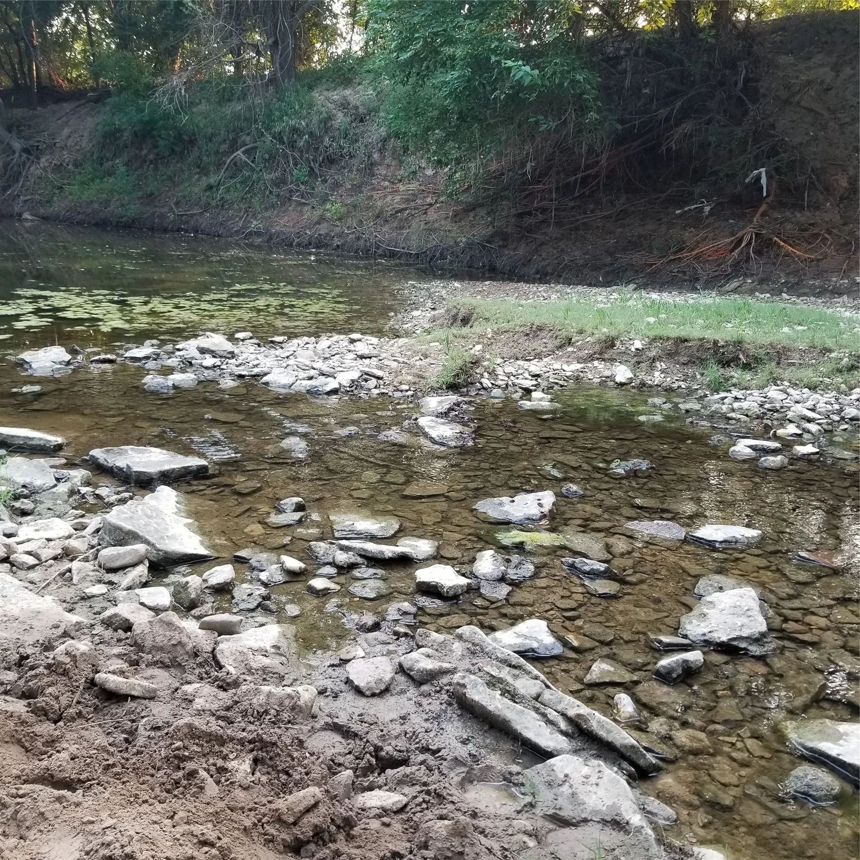 Unimproved Land For Sale in Erath County , TBD E Collins, Stephenville, Texas 76401, 0, 0, Garage spaces, 0 Sqft, built in 0, Price $74,900, mls#21293387, Real Estate Agent in Stephenville, Homes For Sale in Erath county, Homes For Sale in Stephenville, Realtor in Stephenville Texas, Real Estate Brokerage Independent Realty Texas, Luminita Cordes Realtor