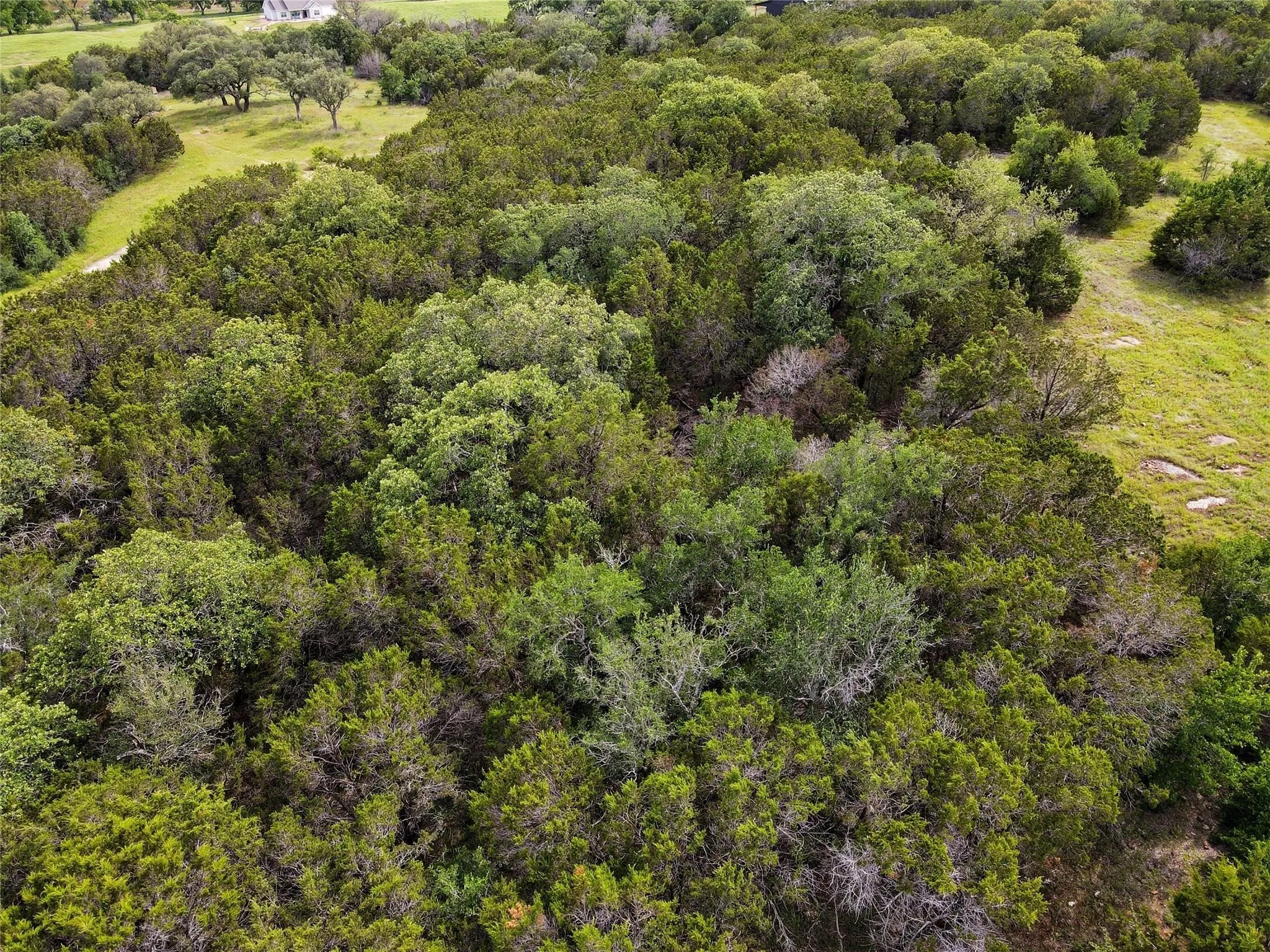 Unimproved Land For Sale in Palo Pinto County , 29 Big Bend Road, Mineral Wells, Texas 76067, 0, 0, Garage spaces, 0 Sqft, built in 0, Price $219,000, mls#21293393, Real Estate Agent in Mineral Wells, Homes For Sale in Palo Pinto county, Homes For Sale in Mineral Wells, Realtor in Mineral Wells Texas, Real Estate Brokerage Independent Realty Texas, Luminita Cordes Realtor