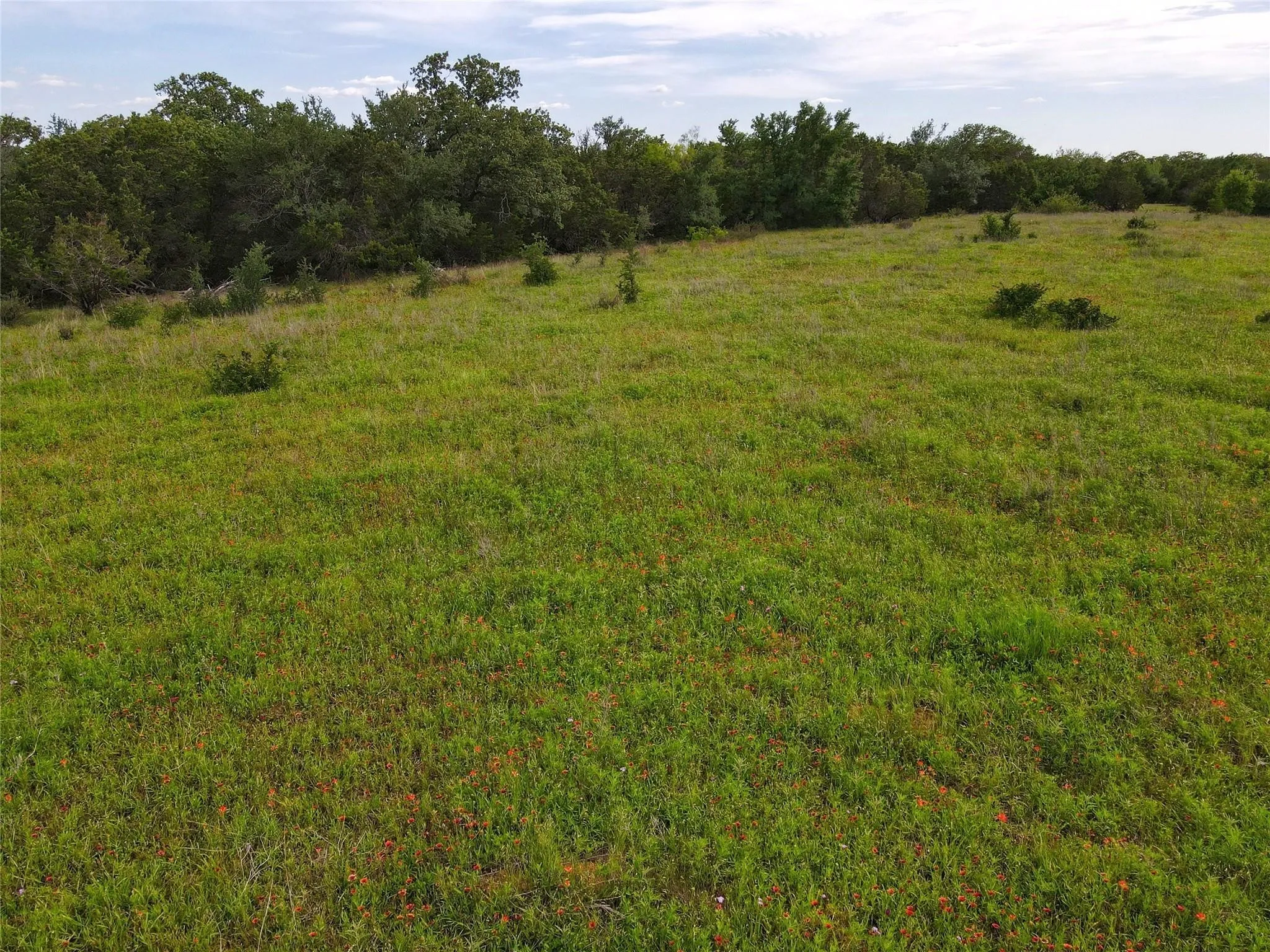 Unimproved Land For Sale in Palo Pinto County , 29 Big Bend Road, Mineral Wells, Texas 76067, 0, 0, Garage spaces, 0 Sqft, built in 0, Price $219,000, mls#21293393, Real Estate Agent in Mineral Wells, Homes For Sale in Palo Pinto county, Homes For Sale in Mineral Wells, Realtor in Mineral Wells Texas, Real Estate Brokerage Independent Realty Texas, Luminita Cordes Realtor