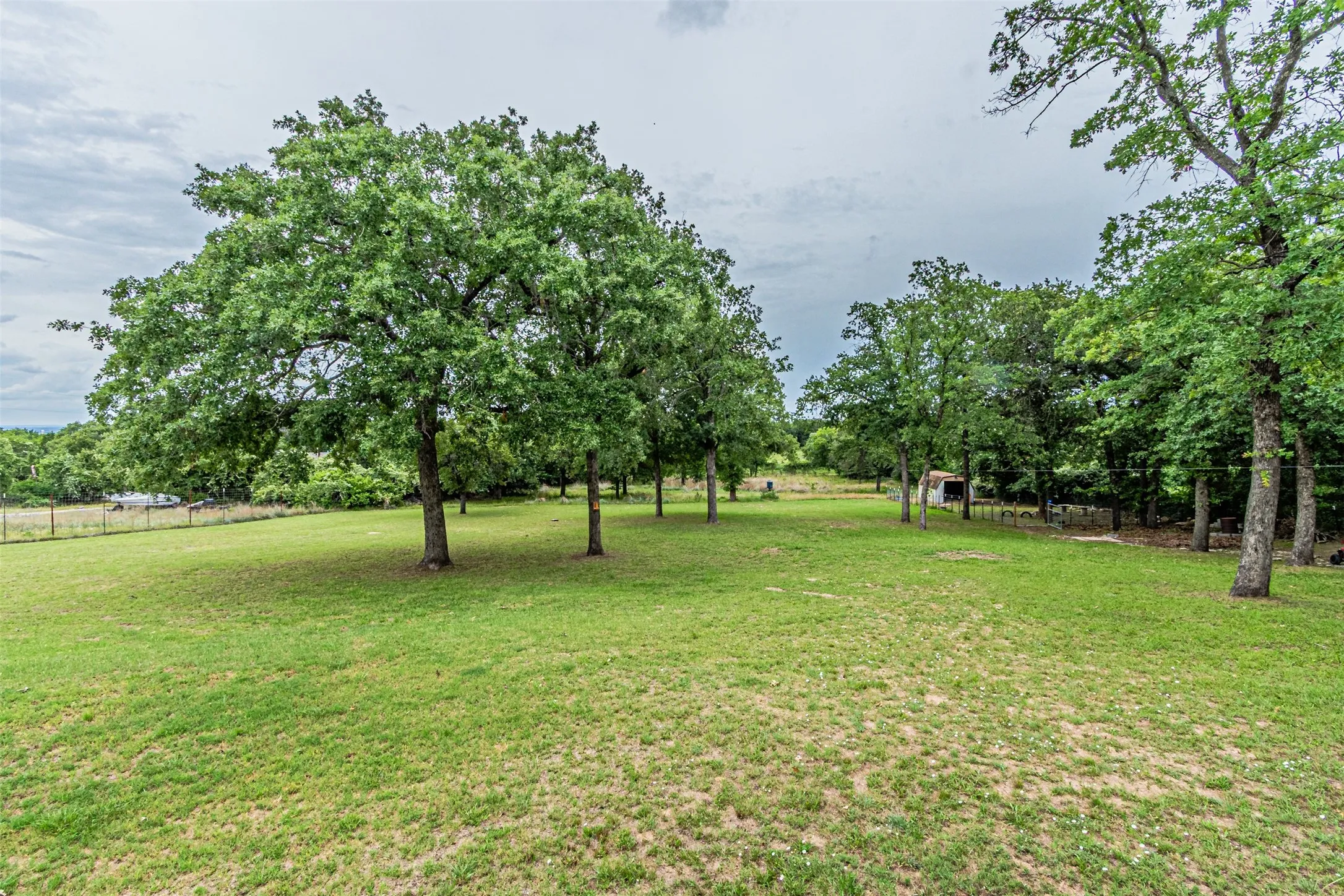 Expansive green lawn framed by mature trees, featuring a distant outbuilding and perimeter fencing