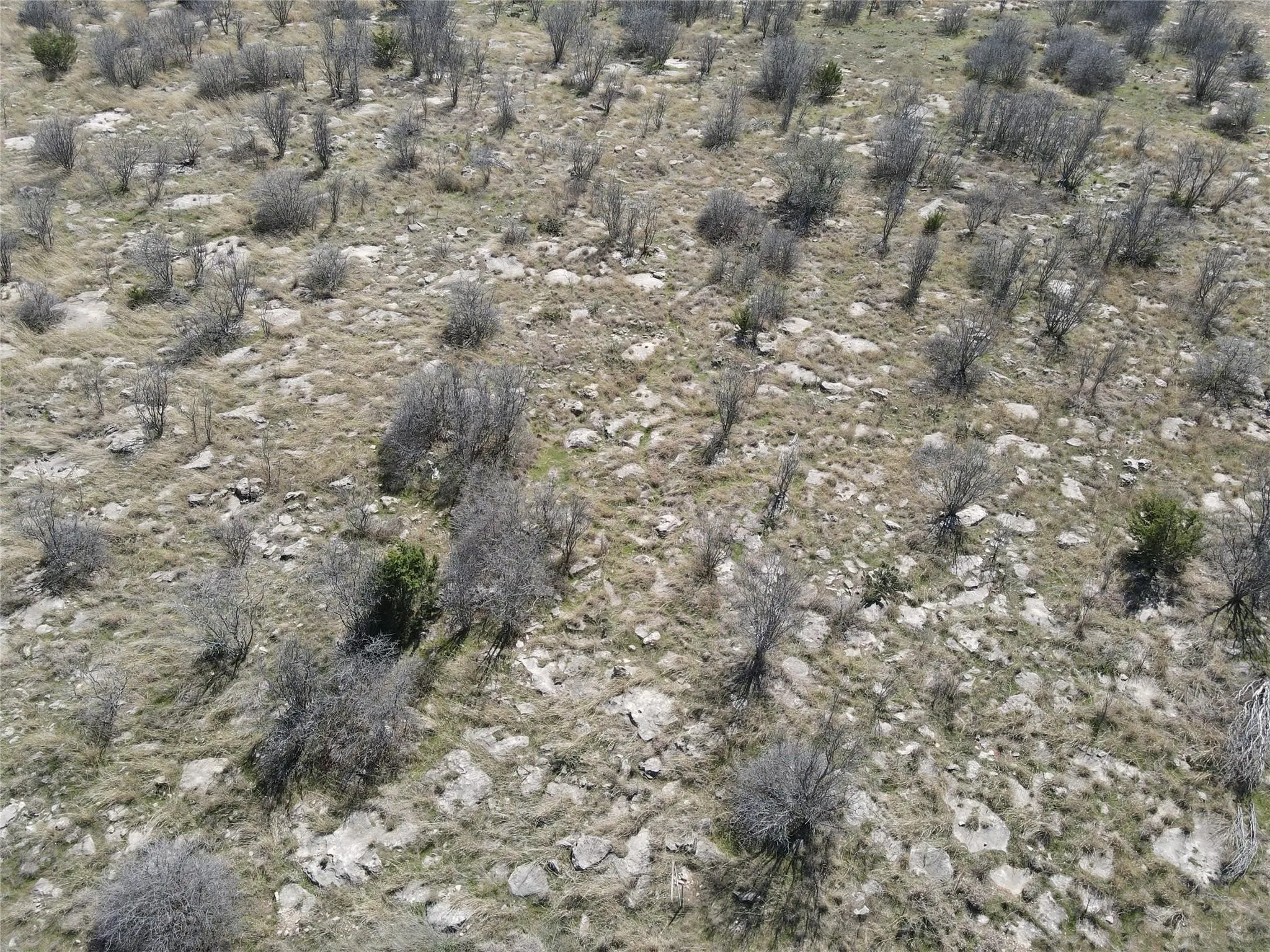 Unimproved Land For Sale in Palo Pinto County , 55 The Dunes Drive, Graford, Texas 76449, 0, 0, Garage spaces, 0 Sqft, built in 0, Price $7,000, mls#21293438, Real Estate Agent in Graford, Homes For Sale in Palo Pinto county, Homes For Sale in Graford, Realtor in Graford Texas, Real Estate Brokerage Independent Realty Texas, Luminita Cordes Realtor