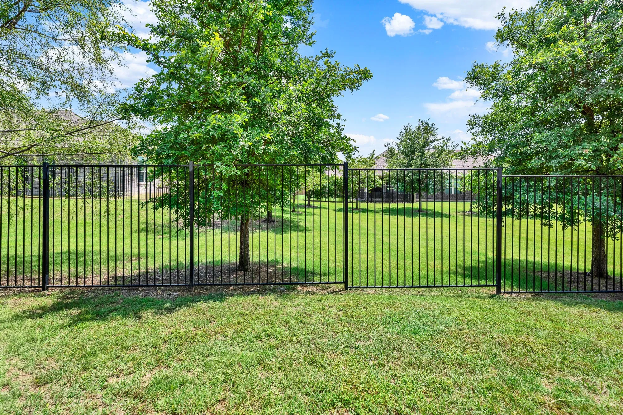 The linear rhythm of the black metal fence creates a beautiful architectural contrast against the soft, organic shapes of the mature trees. On quiet afternoons, you can lean against the railing and enjoy the gentle rustle of leaves as a cool breeze sweeps across the park.
