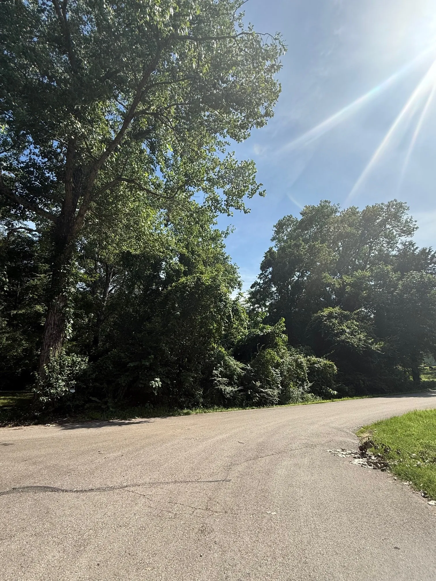 Unimproved Land For Sale in Henderson County , 132 Ridgewood Drive, Tool, Texas 75143, 0, 0, Garage spaces, 0 Sqft, built in 0, mls#21293461, Real Estate Agent in Tool, Homes For Sale in Henderson county, Homes For Sale in Tool, Realtor in Tool Texas, Real Estate Brokerage Independent Realty Texas, Luminita Cordes Realtor