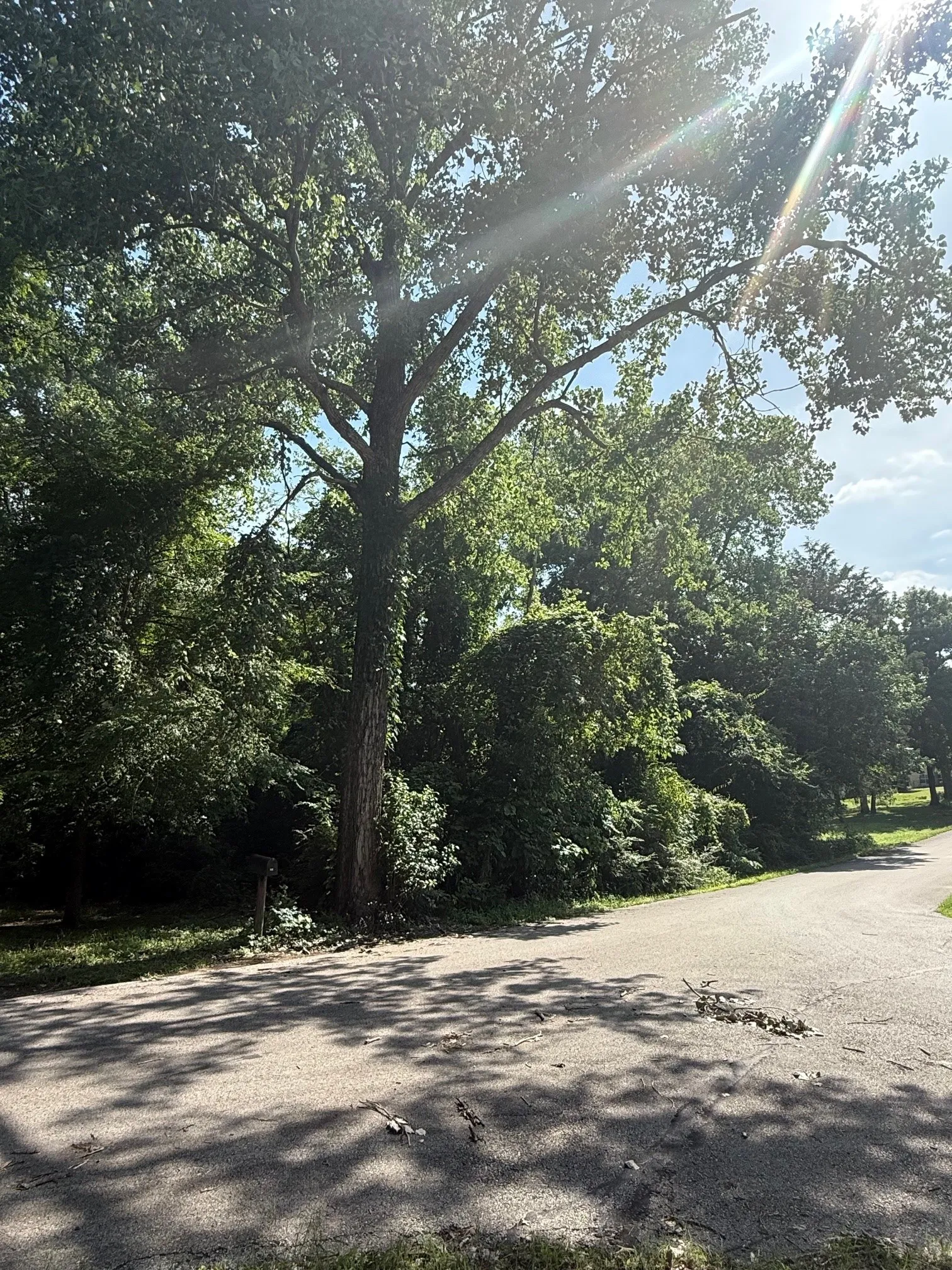 Unimproved Land For Sale in Henderson County , 132 Ridgewood Drive, Tool, Texas 75143, 0, 0, Garage spaces, 0 Sqft, built in 0, mls#21293461, Real Estate Agent in Tool, Homes For Sale in Henderson county, Homes For Sale in Tool, Realtor in Tool Texas, Real Estate Brokerage Independent Realty Texas, Luminita Cordes Realtor