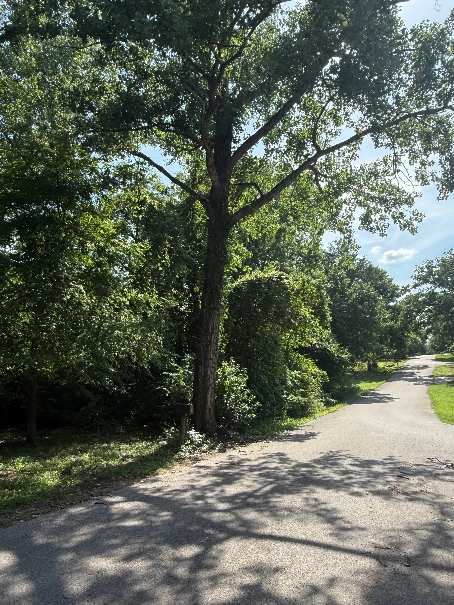 Unimproved Land For Sale in Henderson County , 132 Ridgewood Drive, Tool, Texas 75143, 0, 0, Garage spaces, 0 Sqft, built in 0, mls#21293461, Real Estate Agent in Tool, Homes For Sale in Henderson county, Homes For Sale in Tool, Realtor in Tool Texas, Real Estate Brokerage Independent Realty Texas, Luminita Cordes Realtor